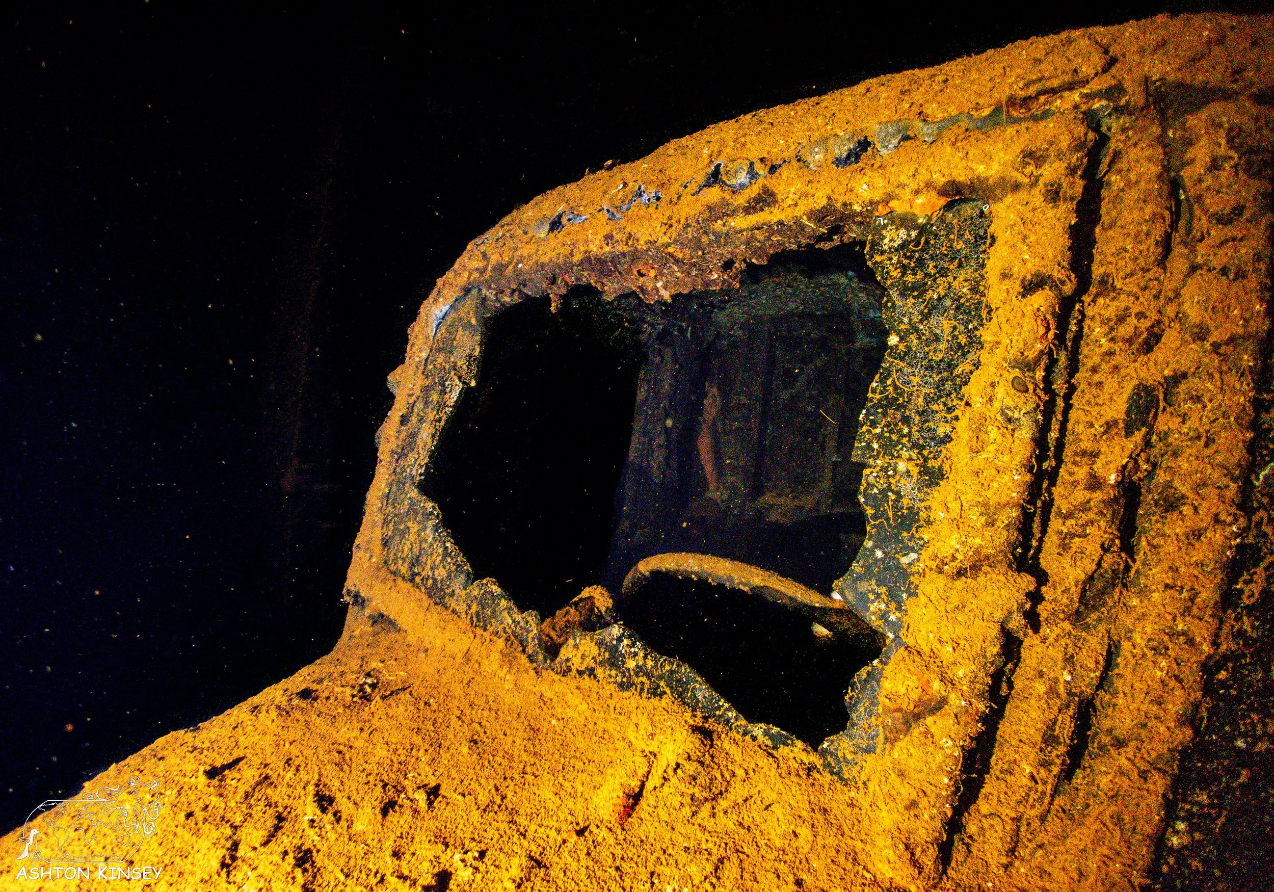 Hoki Maru-8.jpg