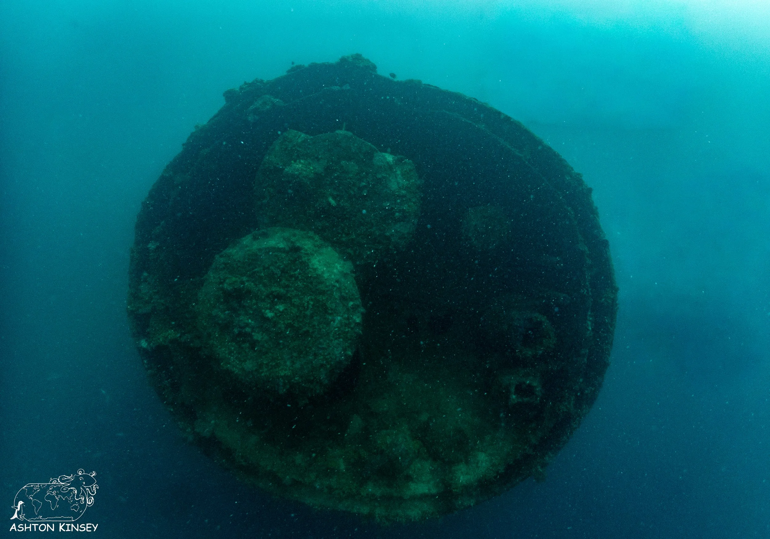 Cormoran-Tokai Maru-19.jpg
