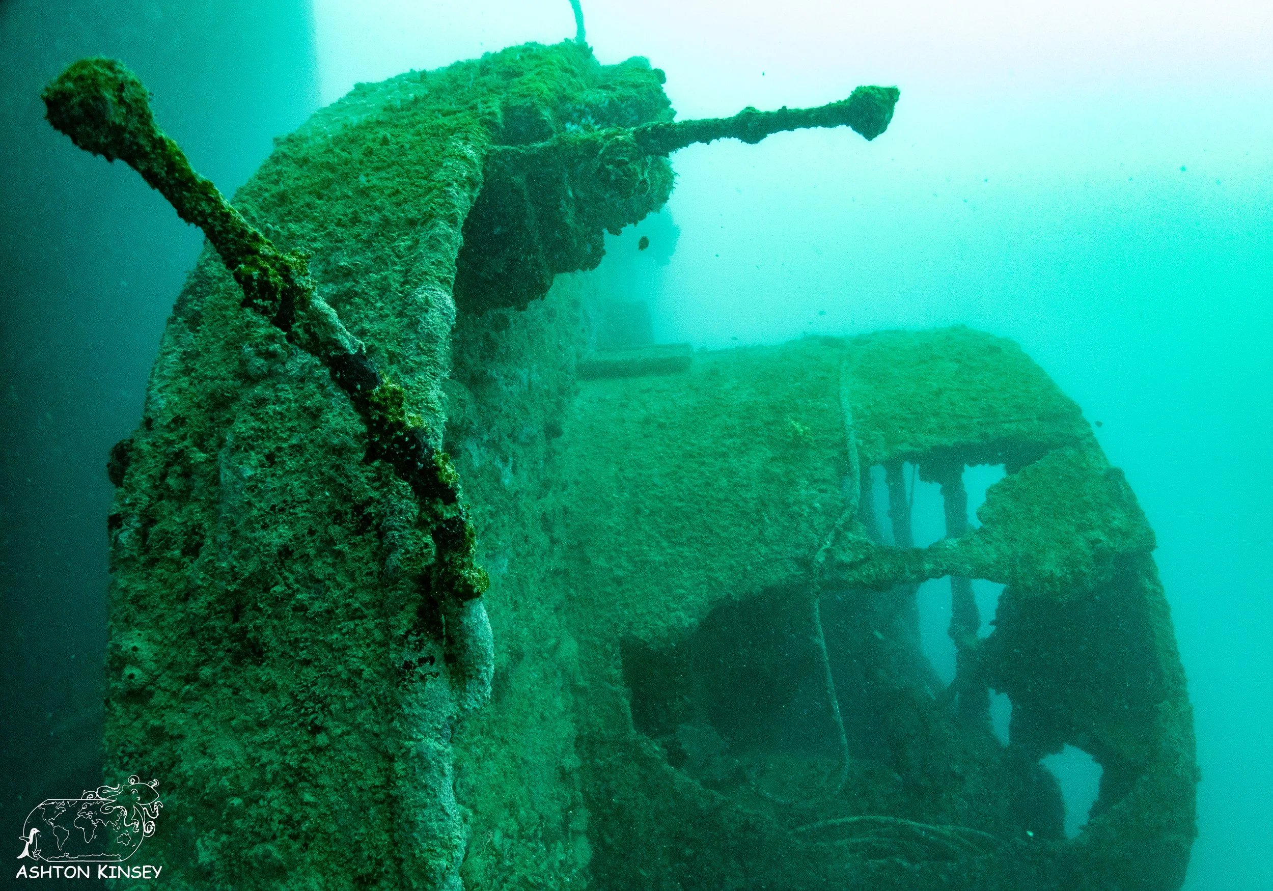 Cormoran-Tokai Maru-5.jpg
