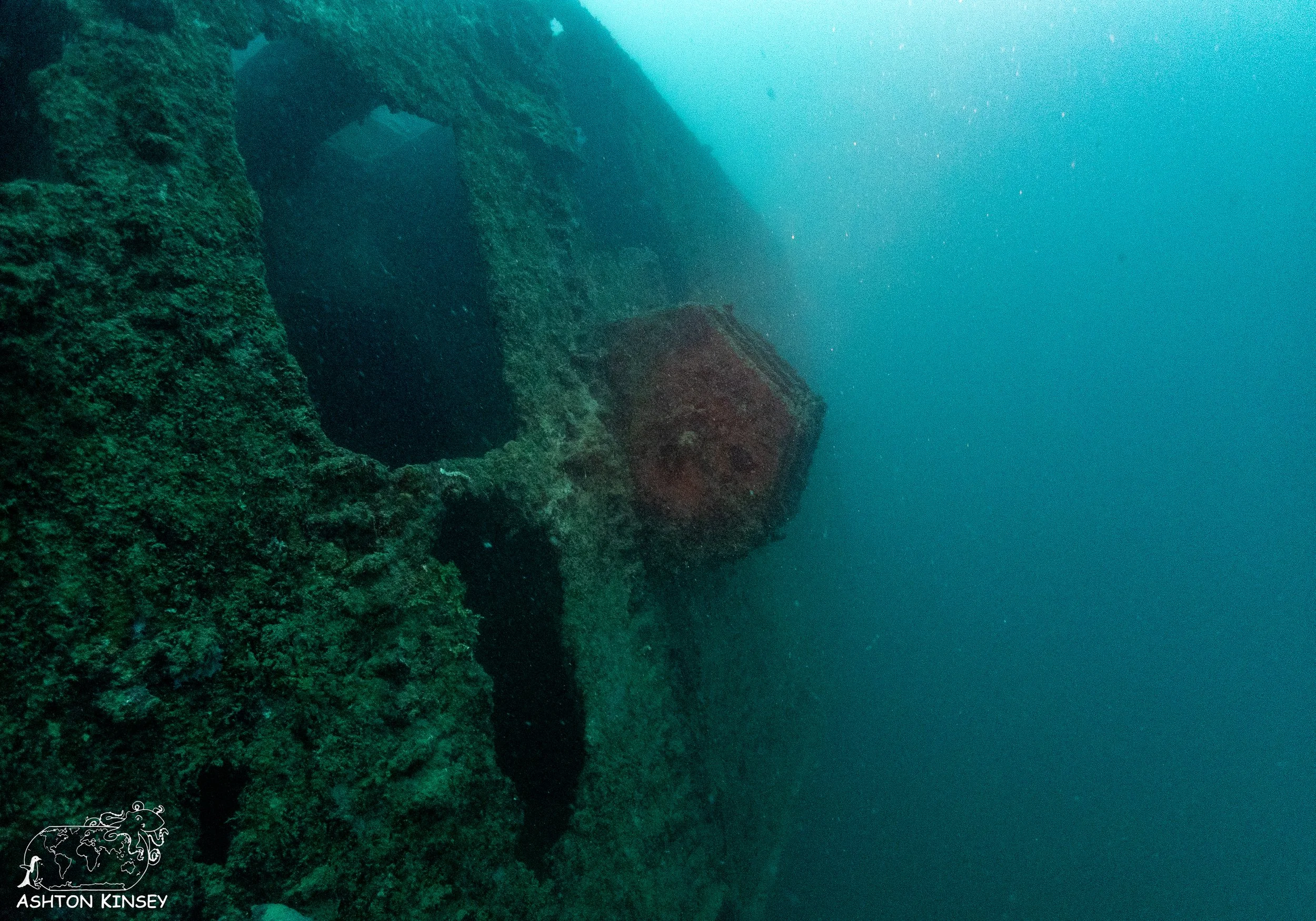 Cormoran-Tokai Maru-10.jpg