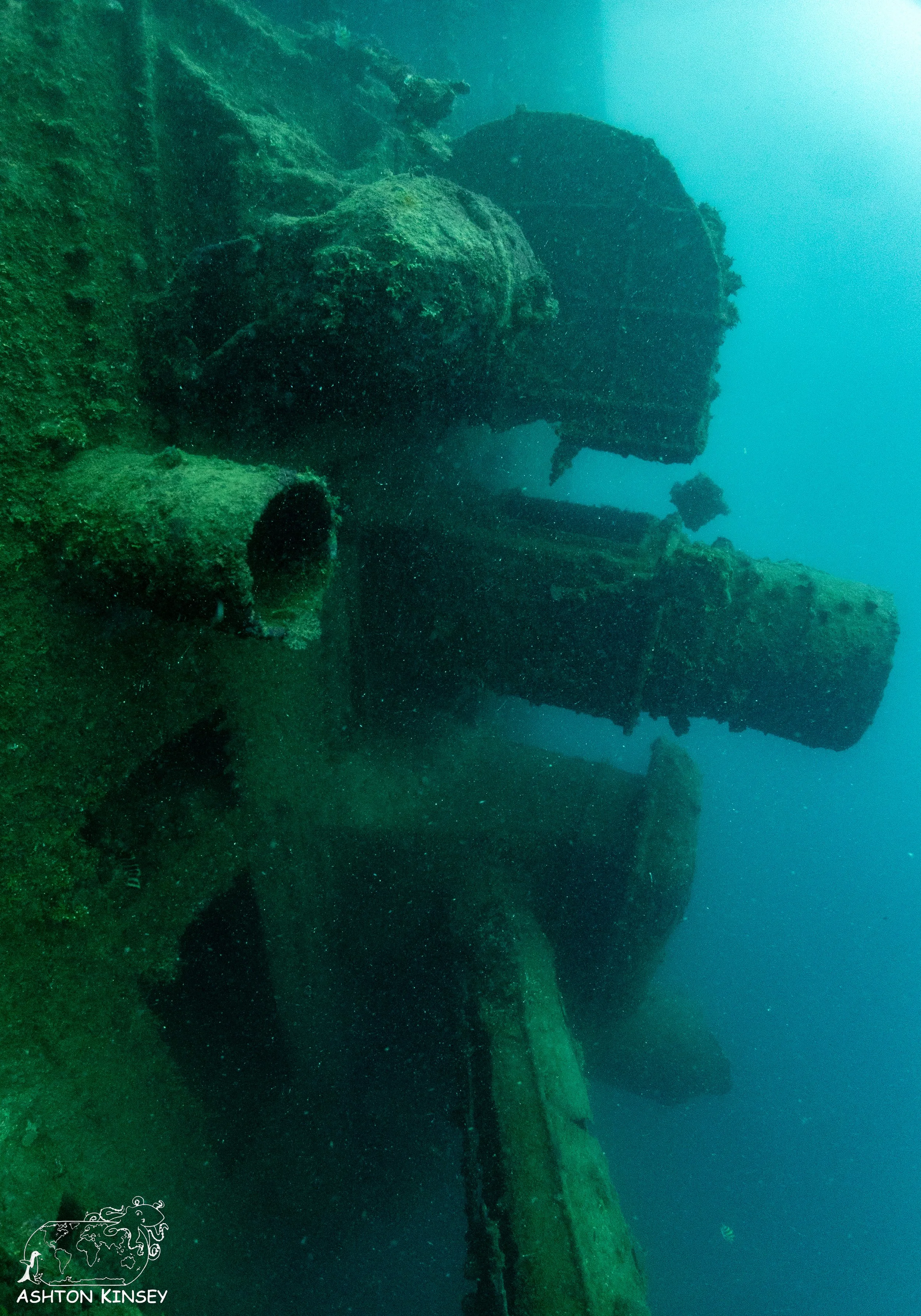 Cormoran-Tokai Maru-18.jpg
