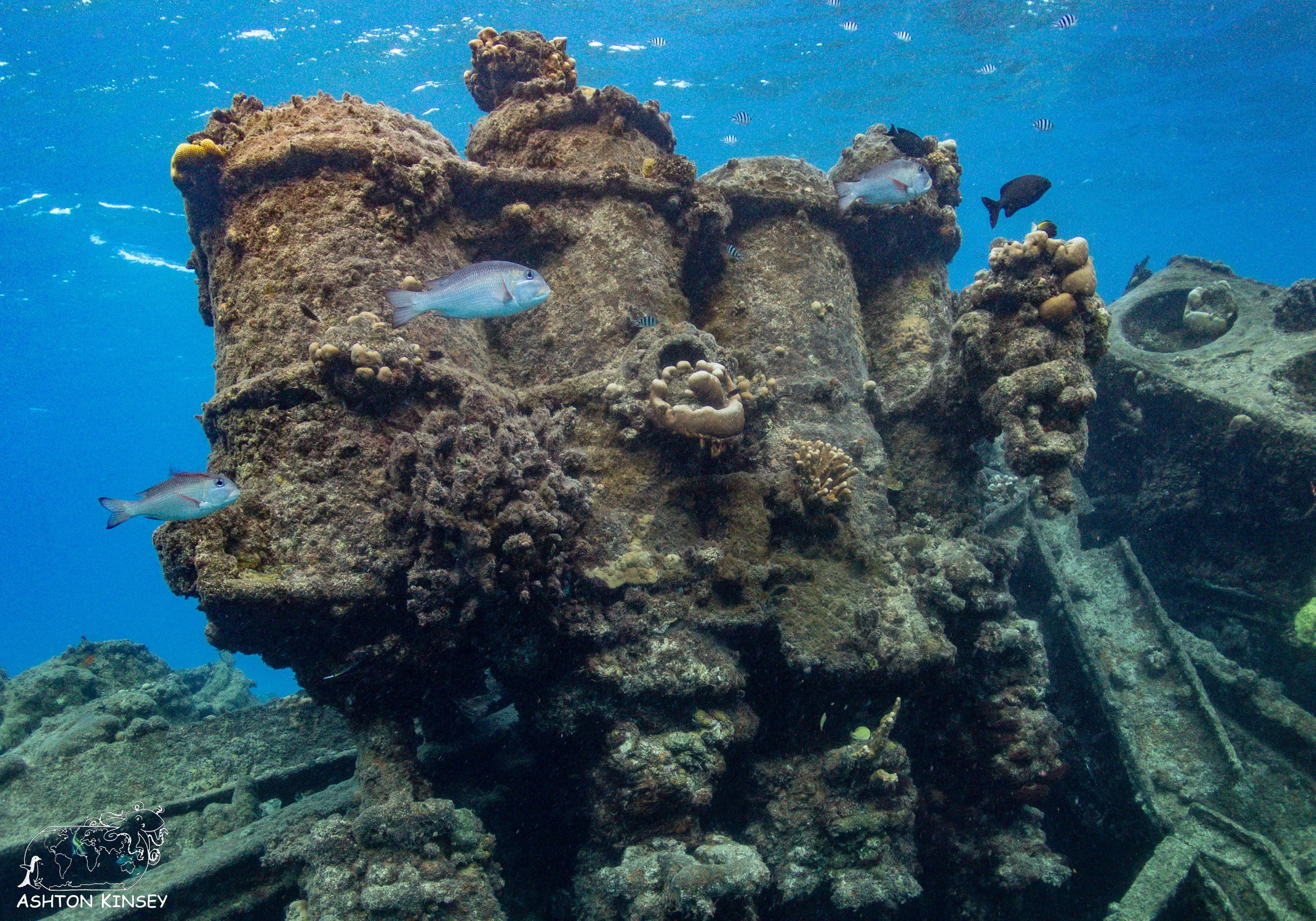Shoan Maru-1-7.jpg