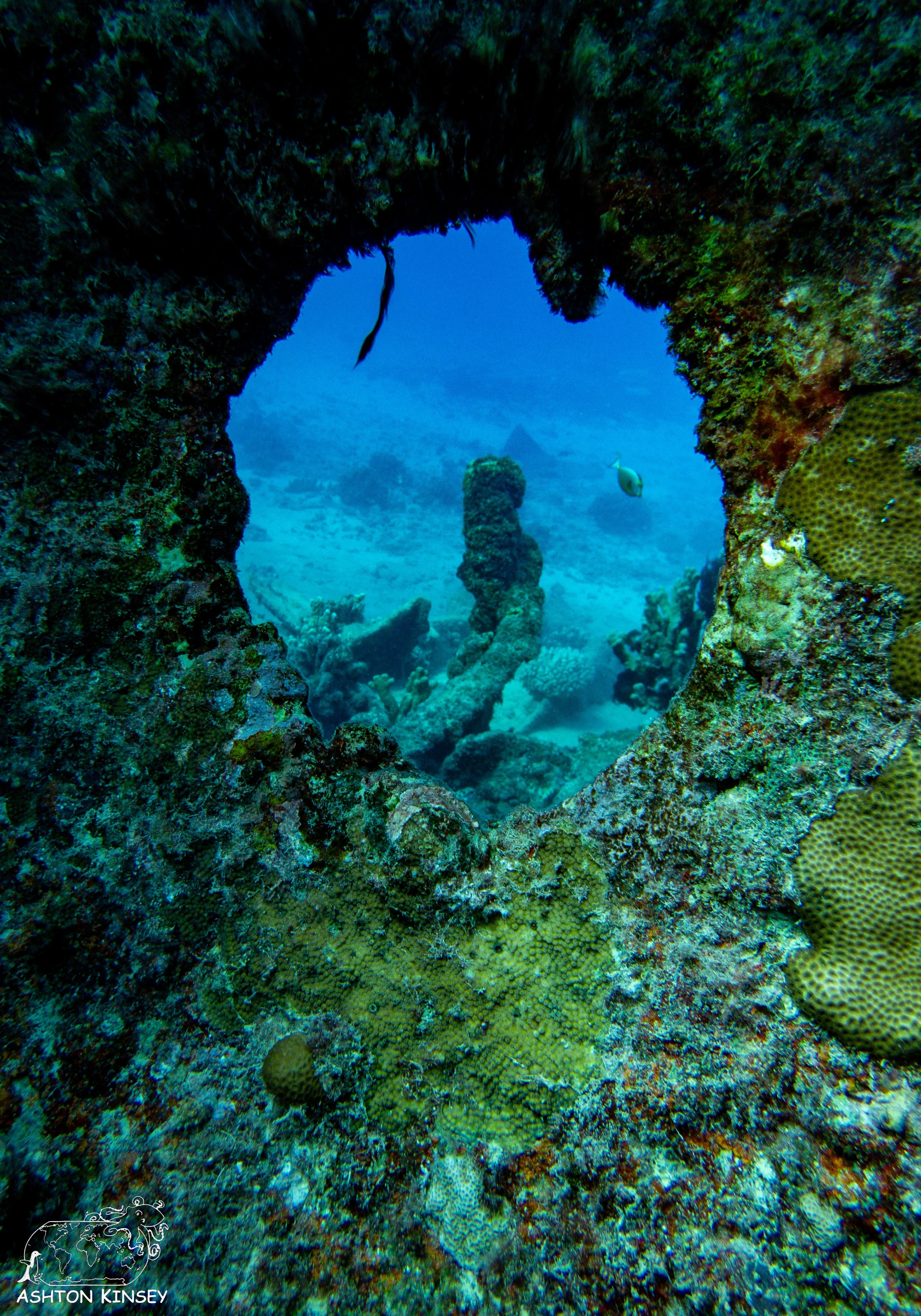 Shoan Maru-1-11.jpg