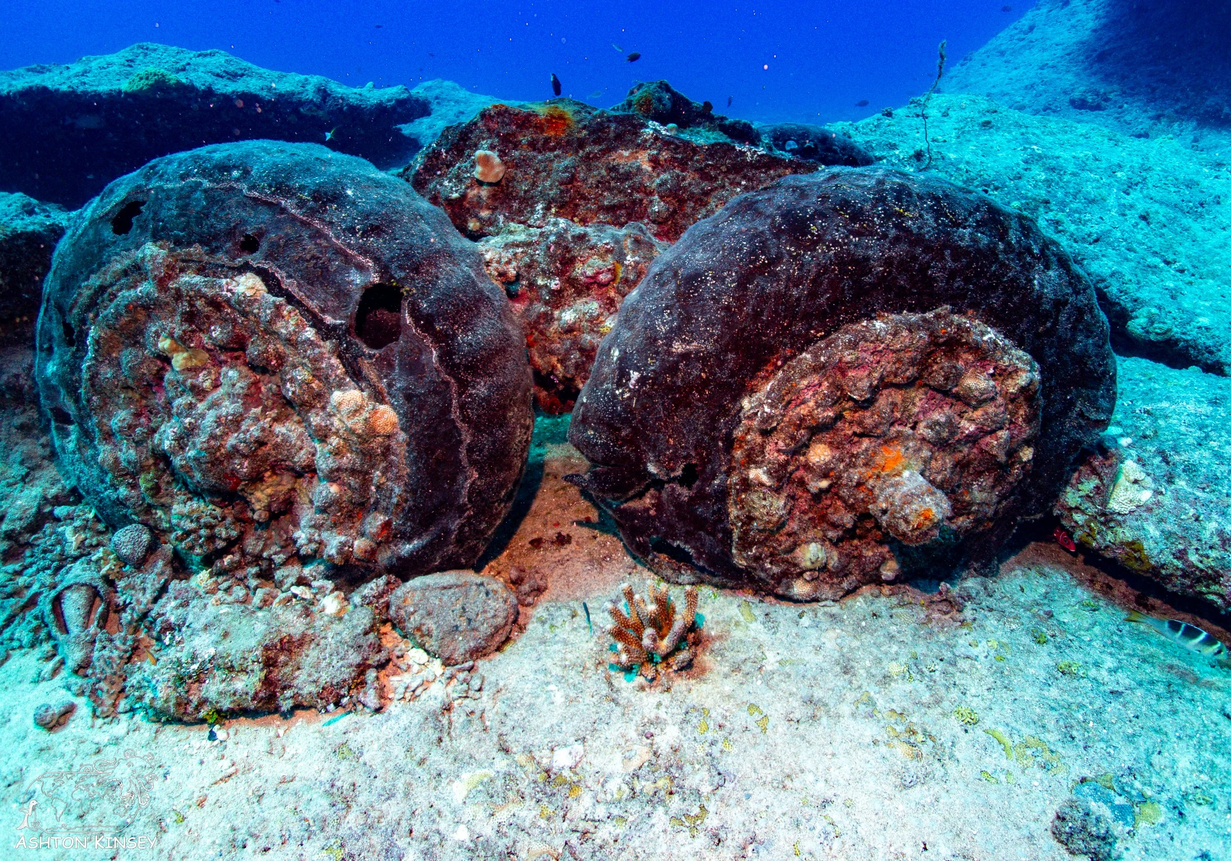 Dump Cove-1-3.jpg