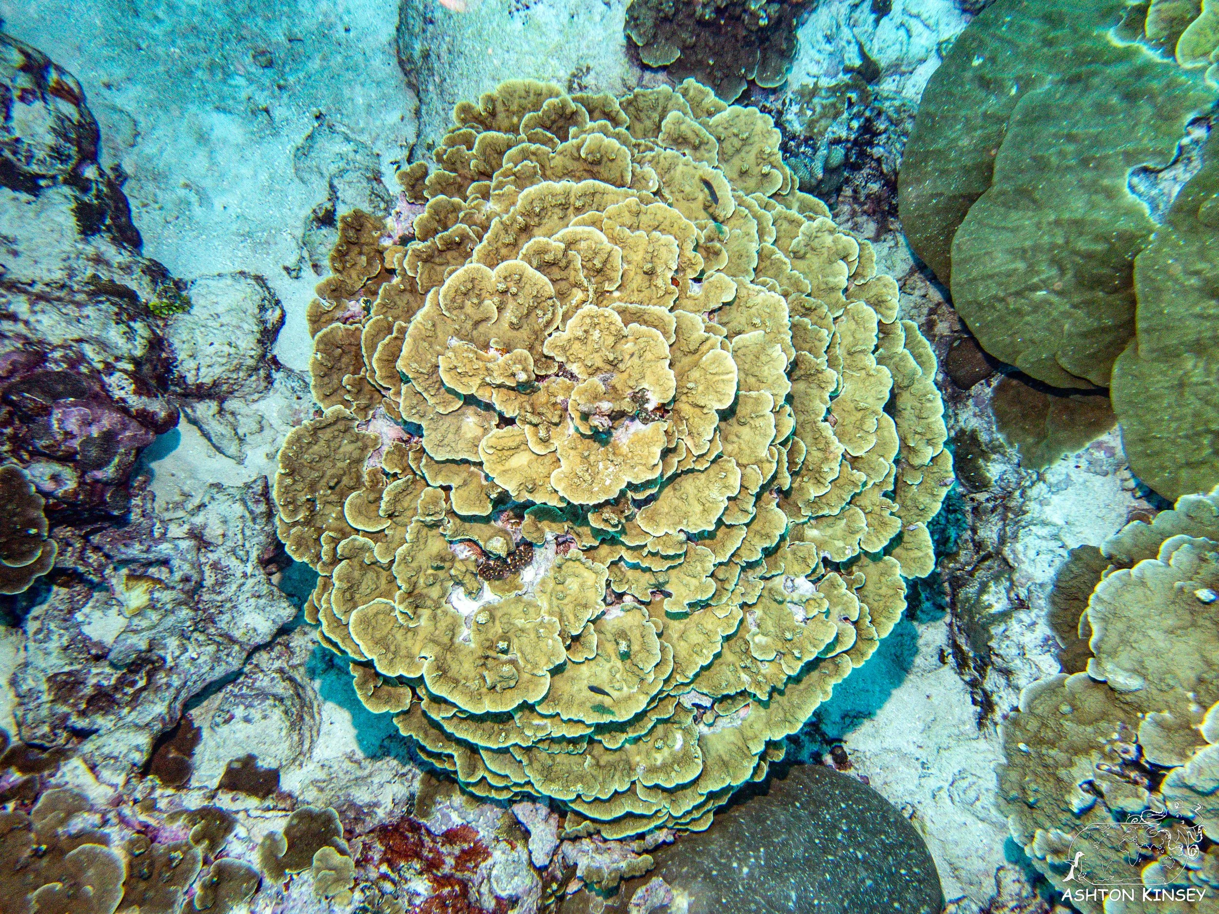Turtle Rock-9.jpg