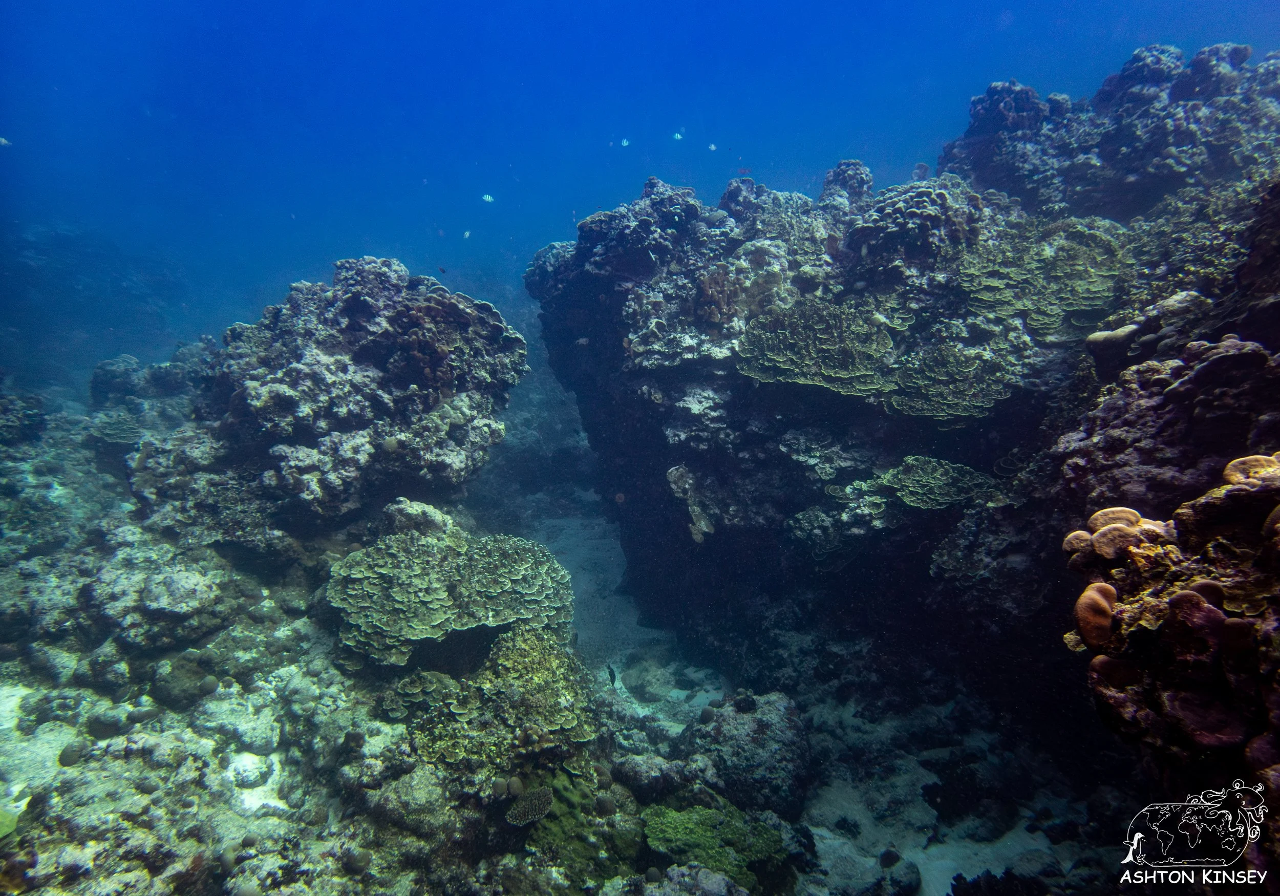 Turtle Rock-10.jpg