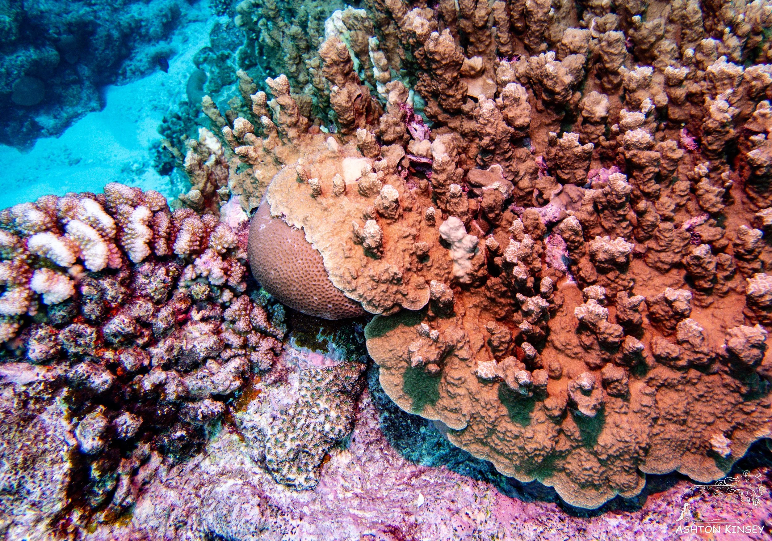 Turtle Rock-11.jpg