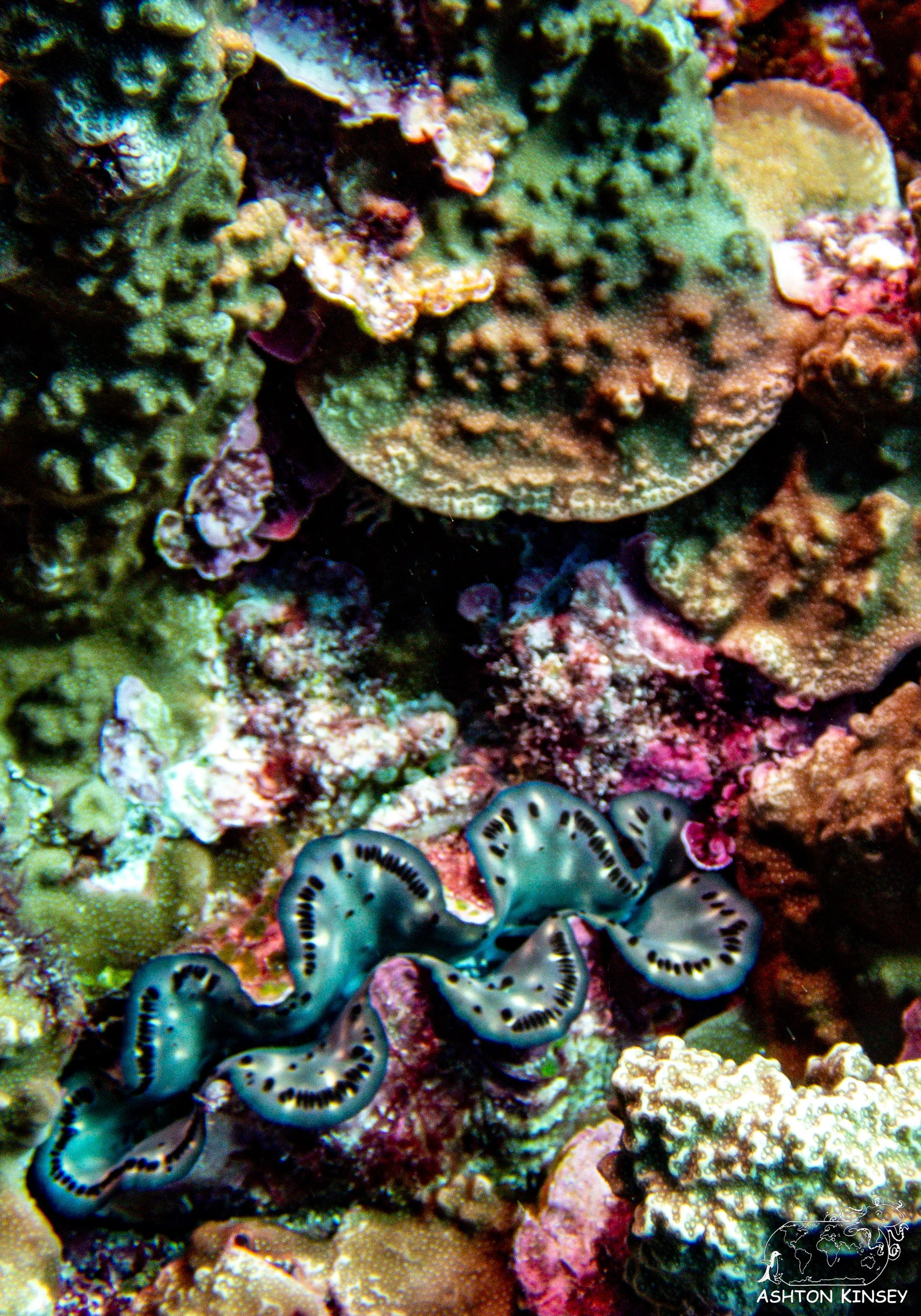 Turtle Rock-3.jpg