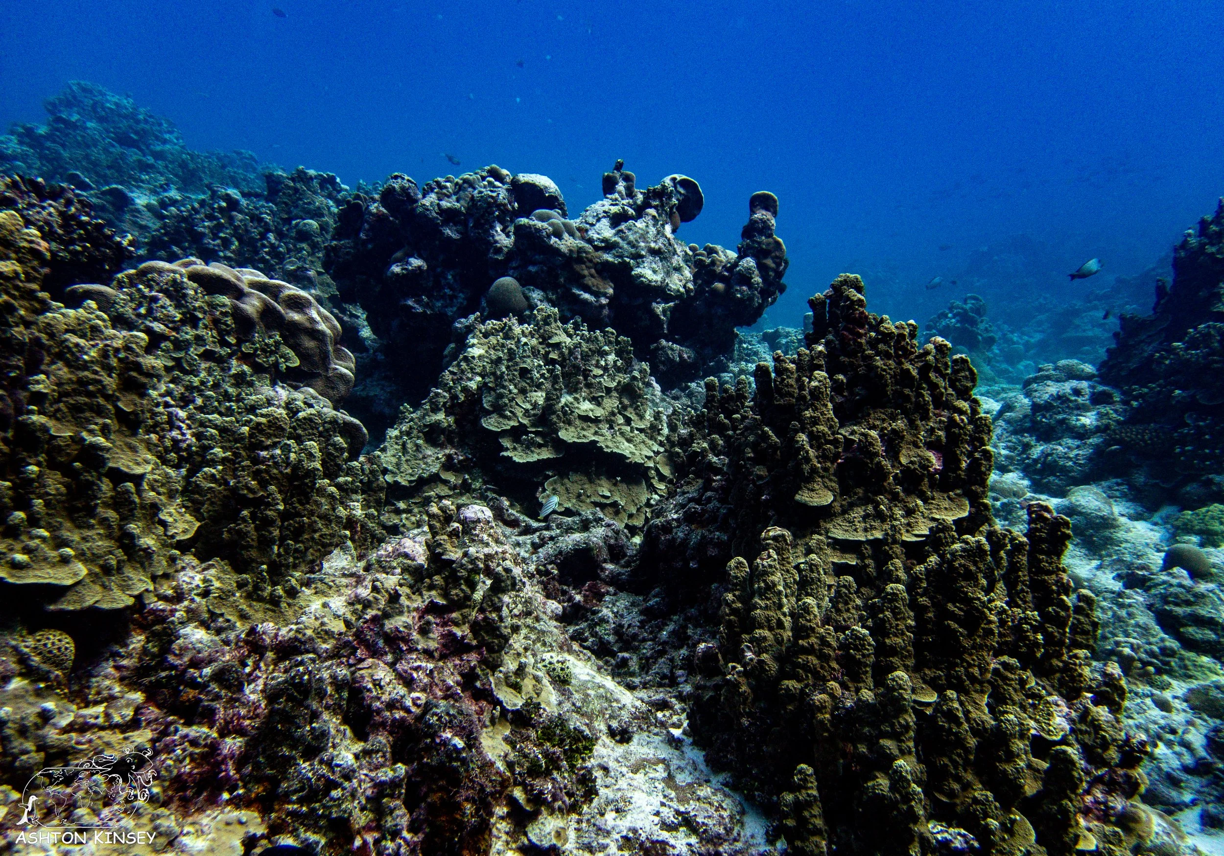 Turtle Rock-2.jpg