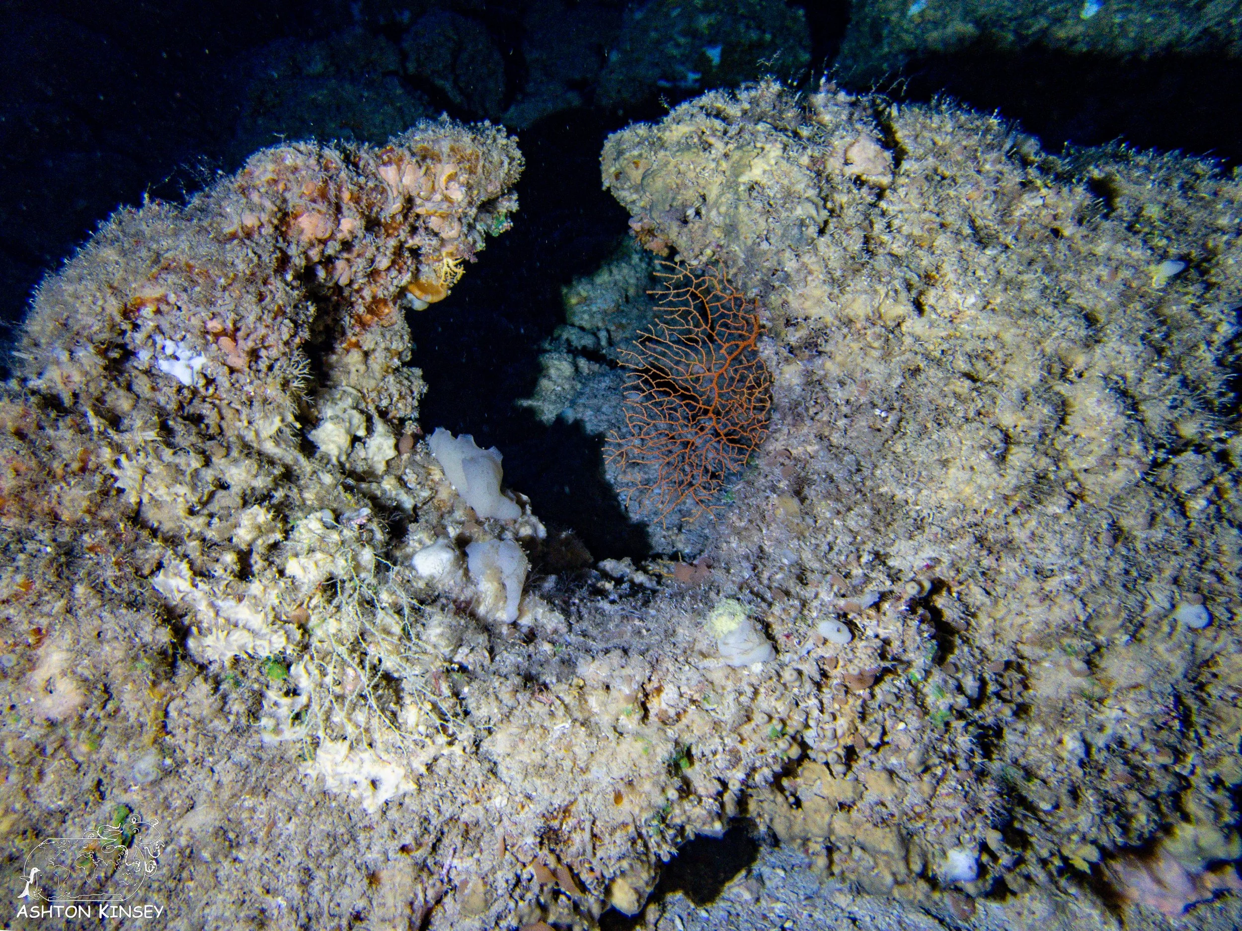 The Grotto-11.jpg