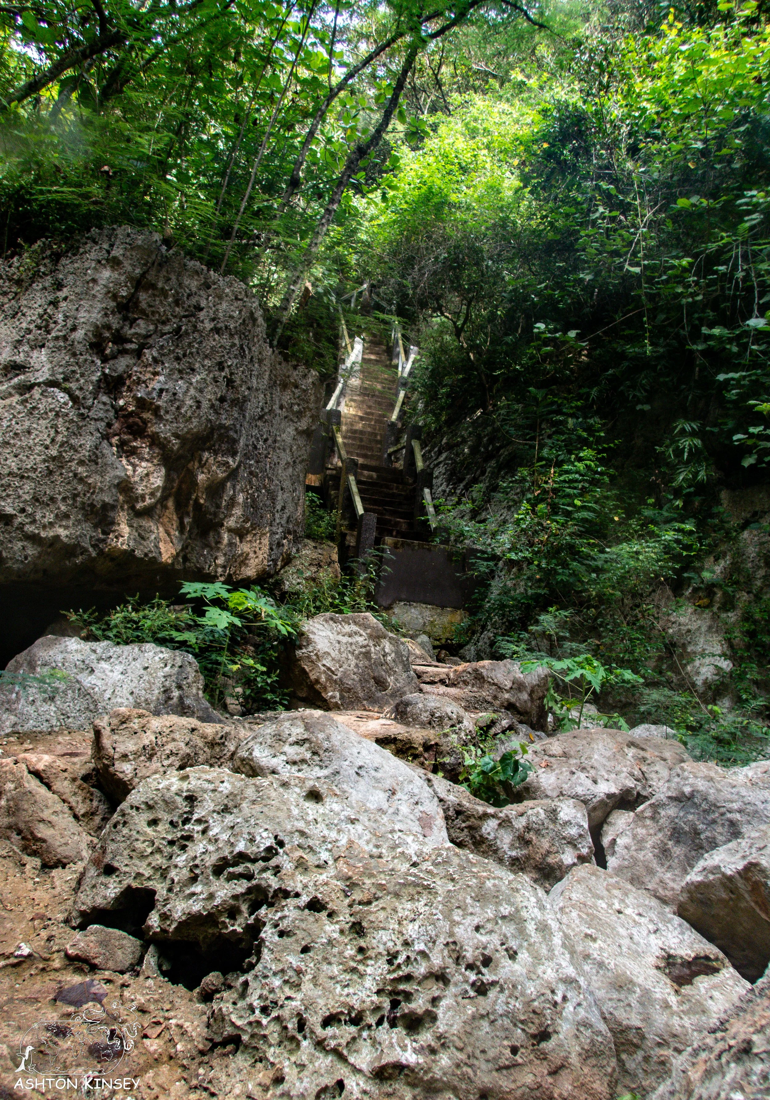 The Grotto-2.jpg