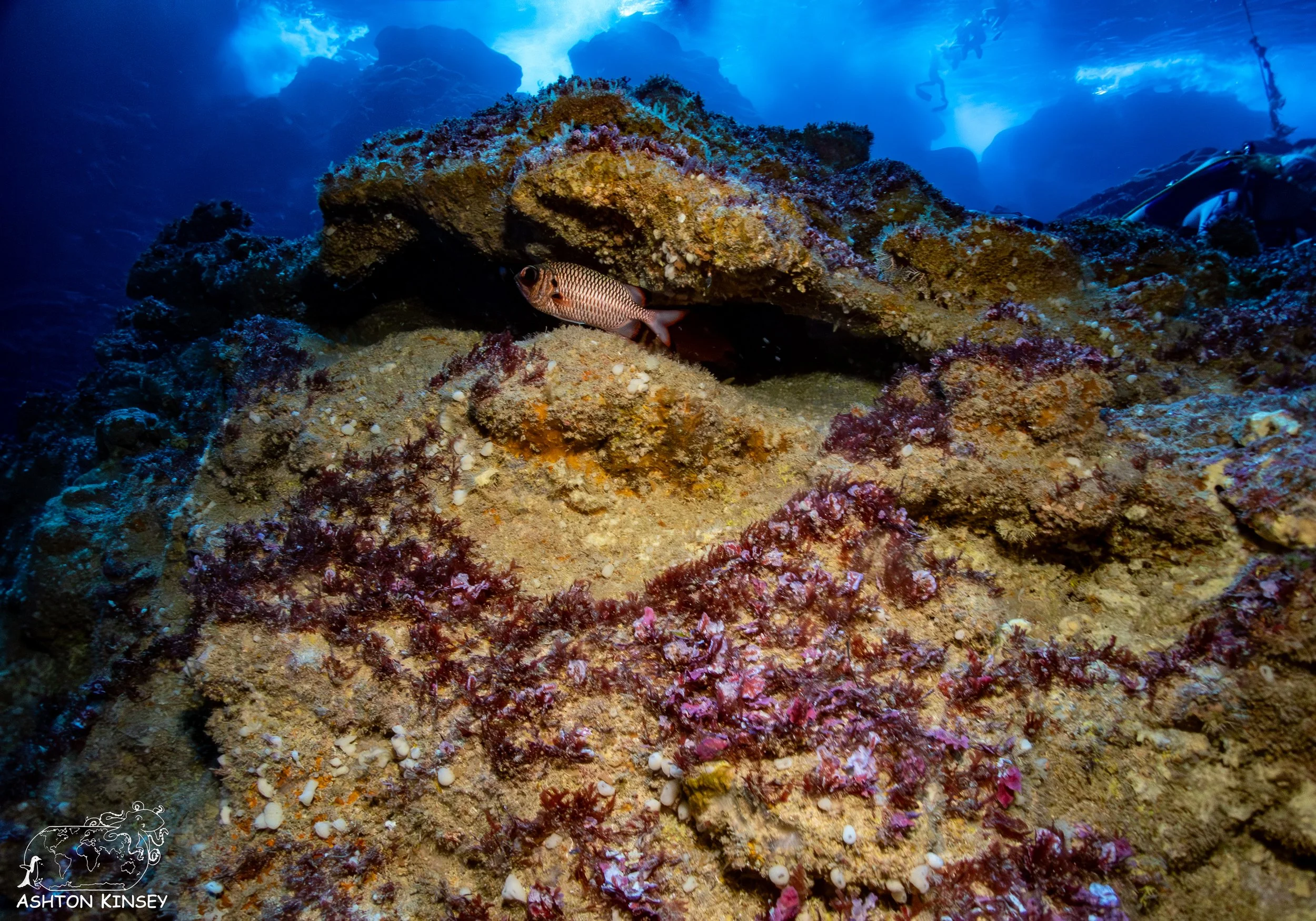 The Grotto-7.jpg