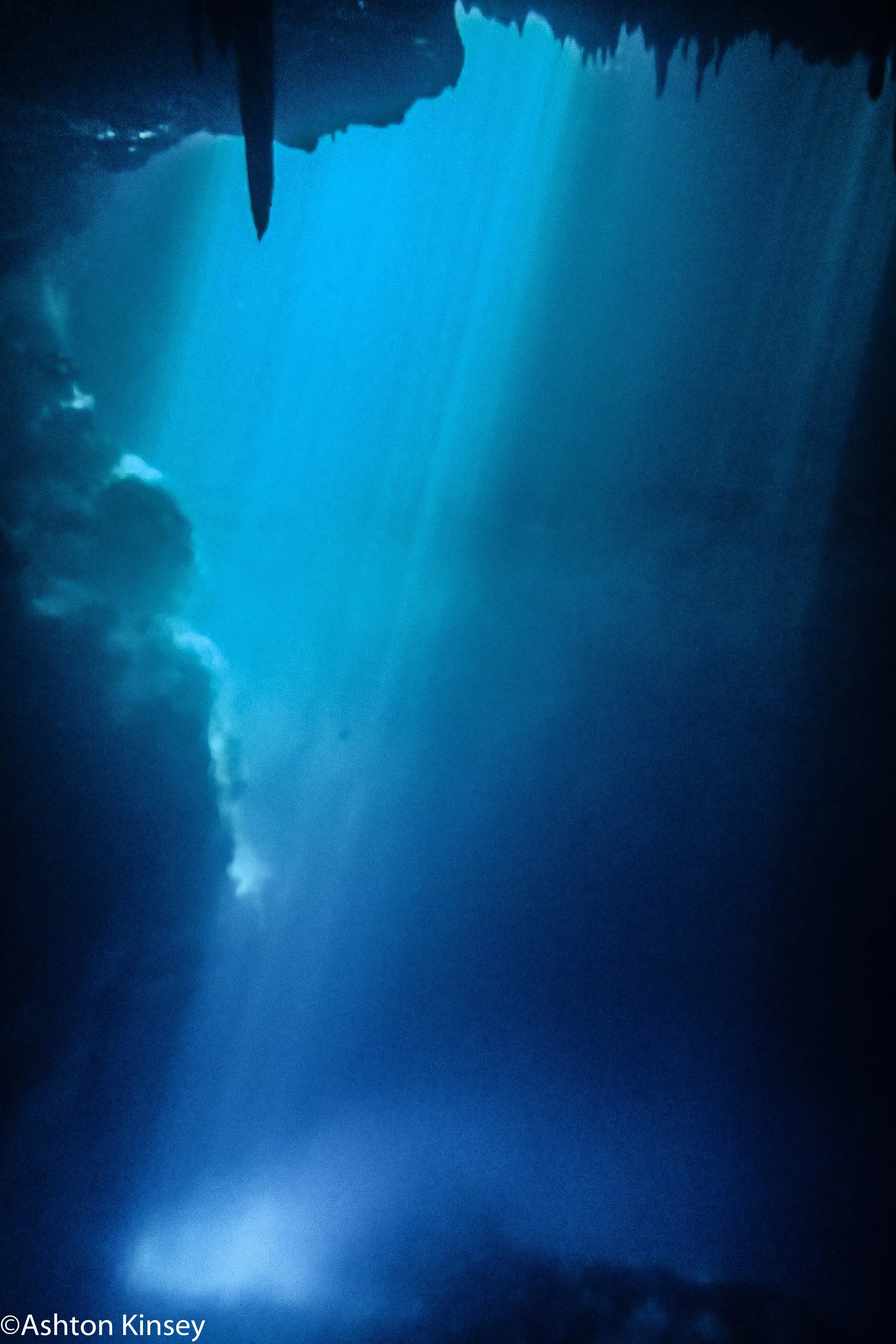 Cozumel and Cenotes