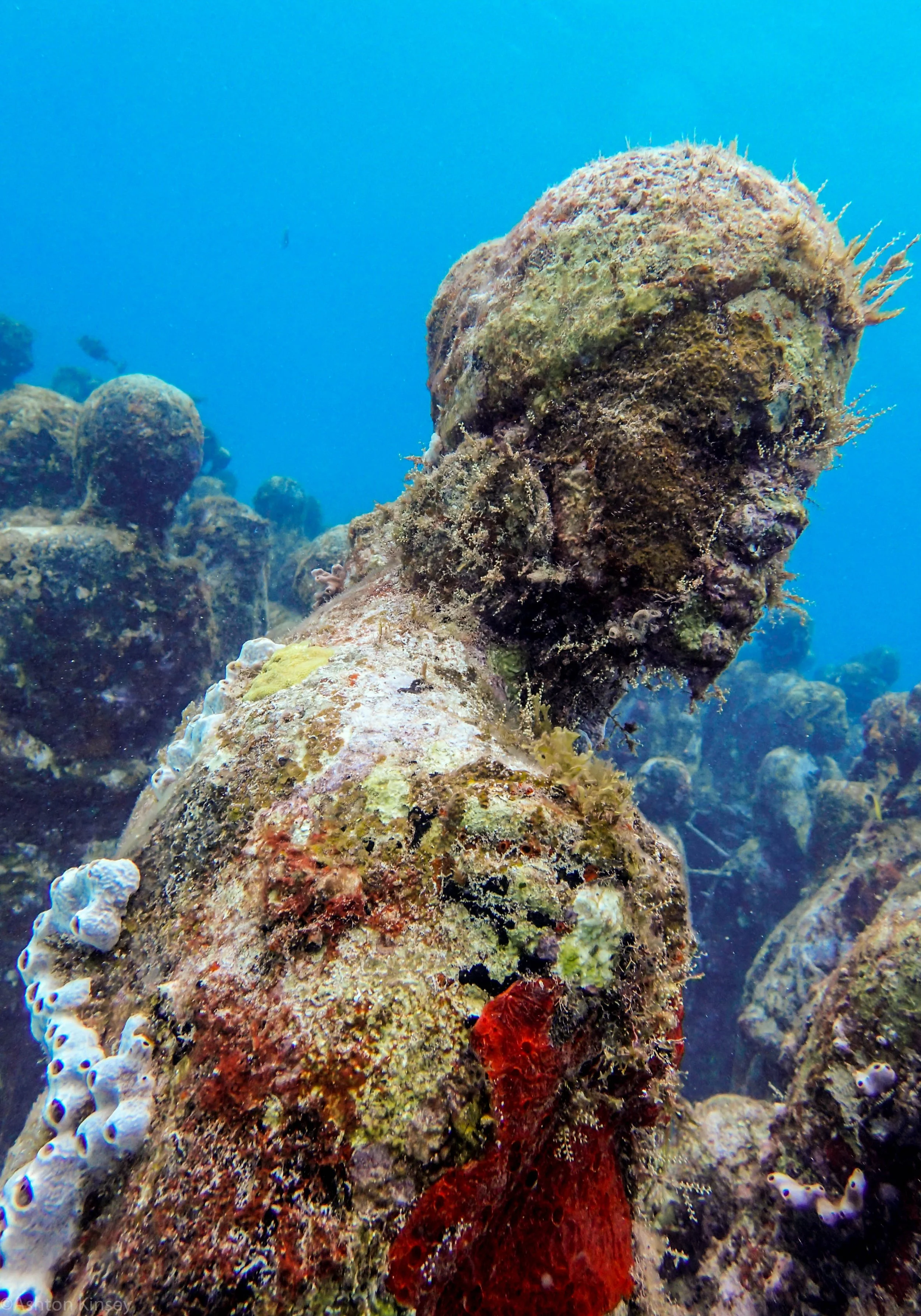 Cancun: Underwater Museum Of Art