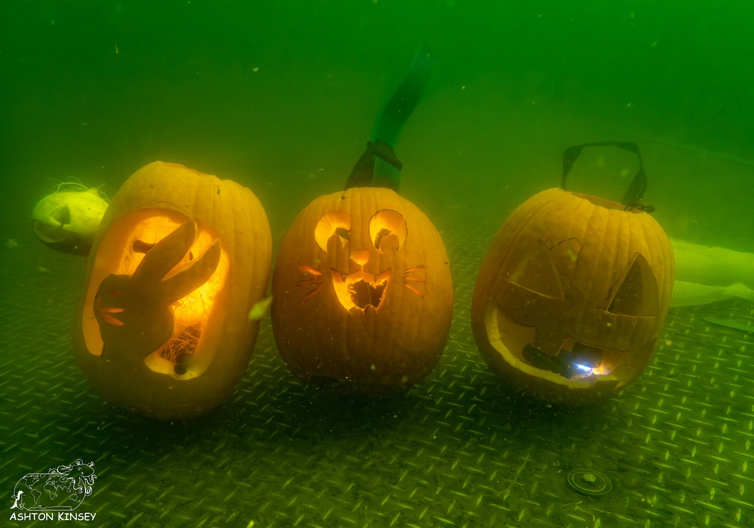 pumpkin-9.jpg
