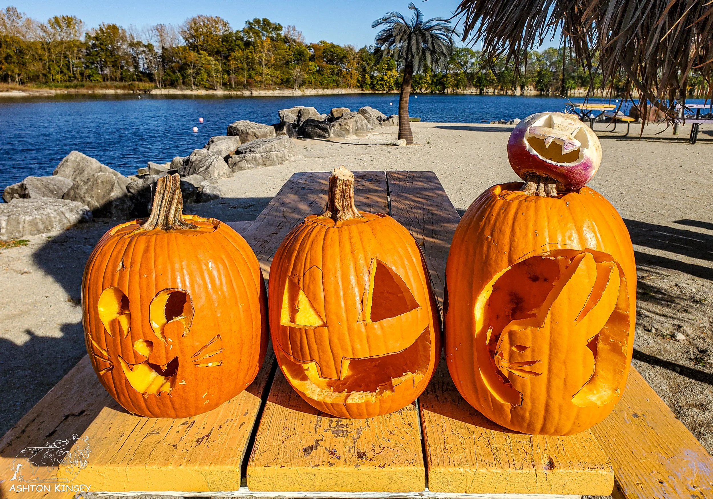 pumpkin-10.jpg