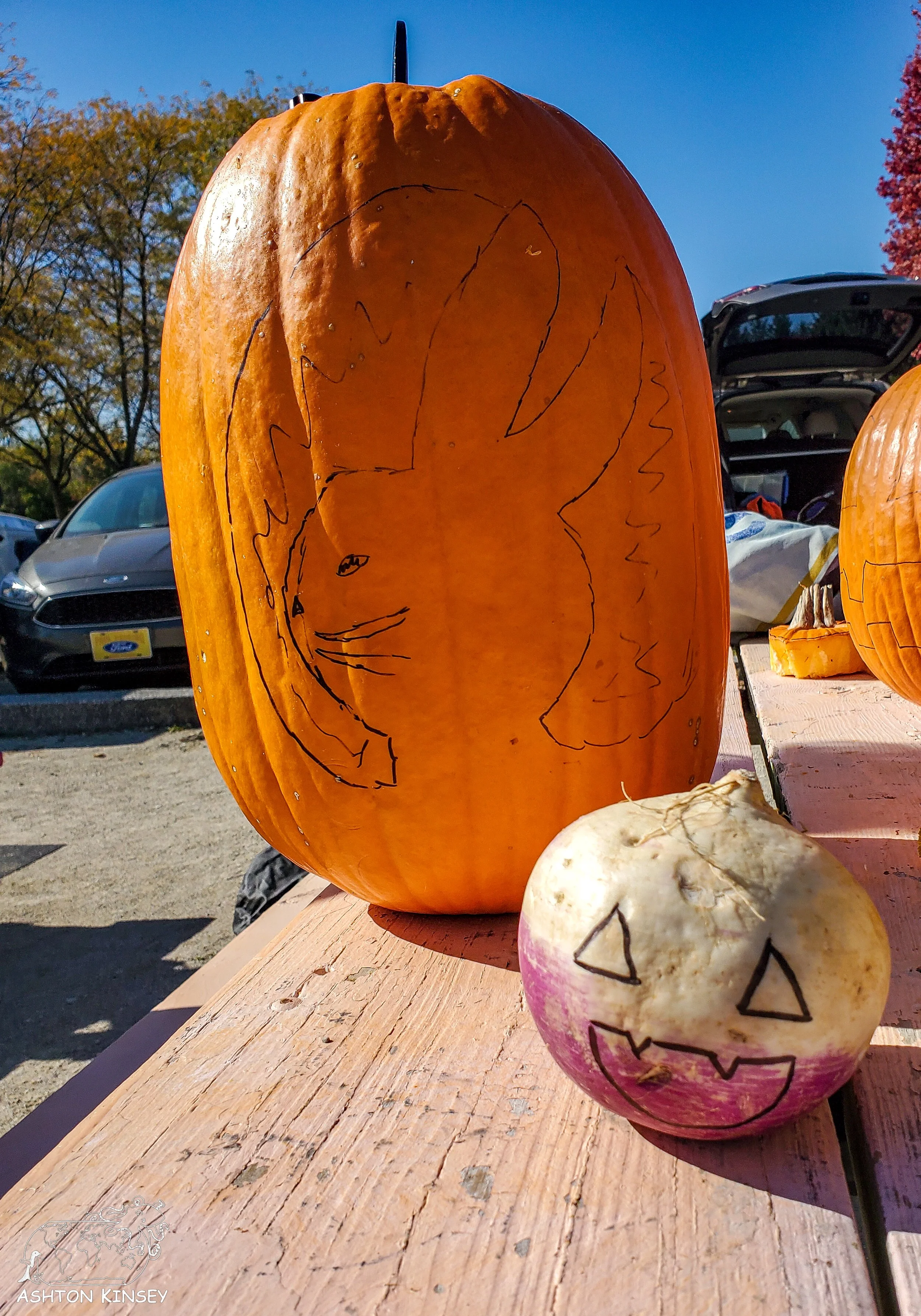 pumpkin-2.jpg