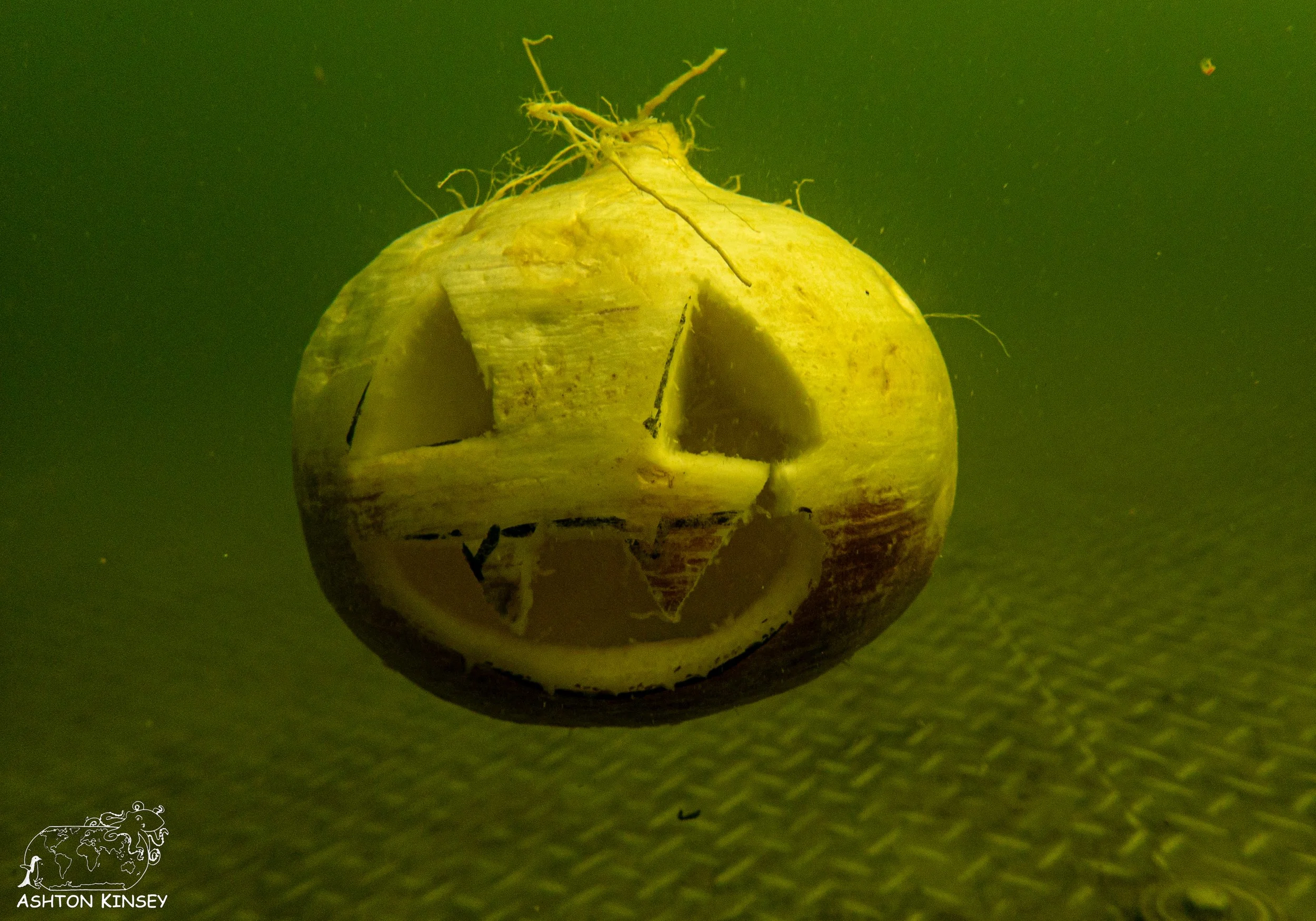 pumpkin-4.jpg