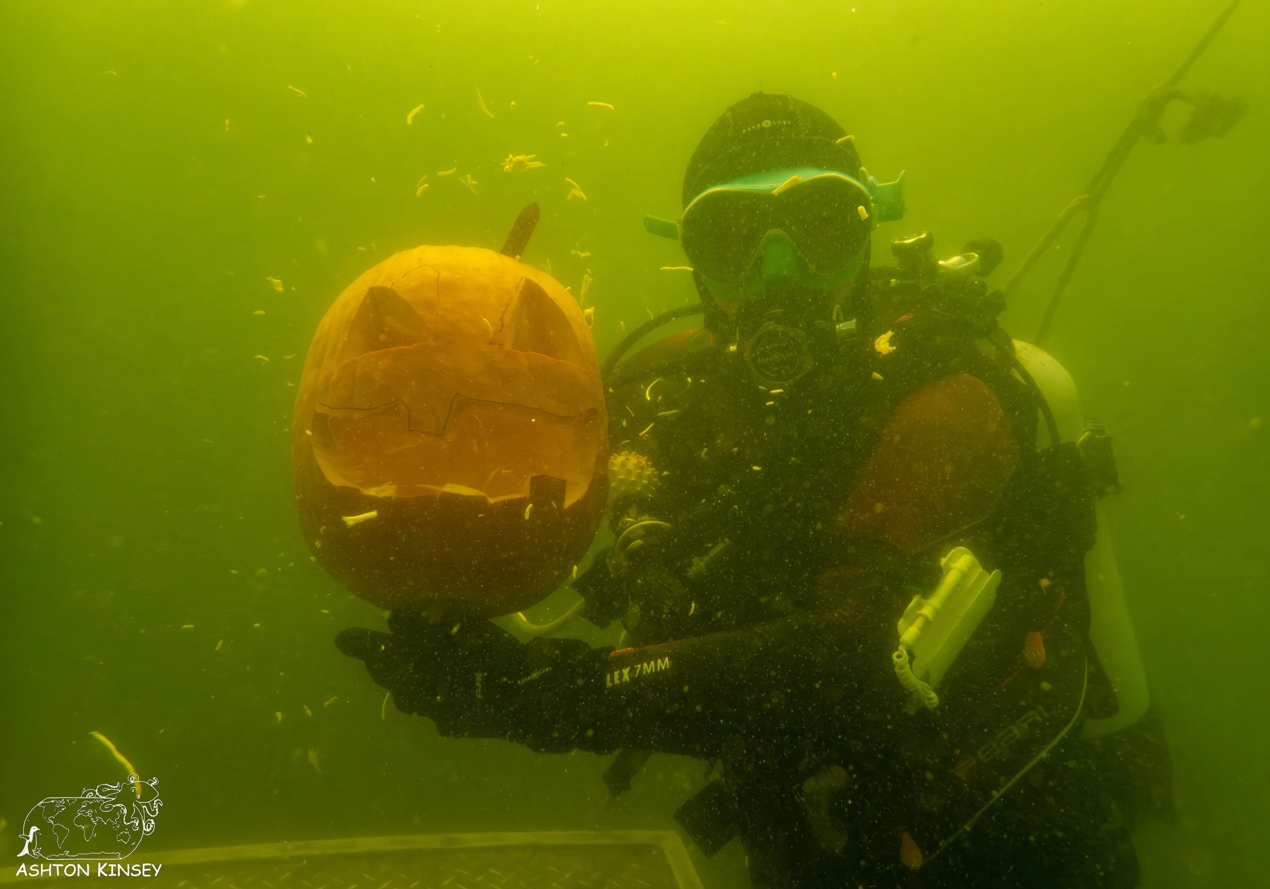 pumpkin-5.jpg