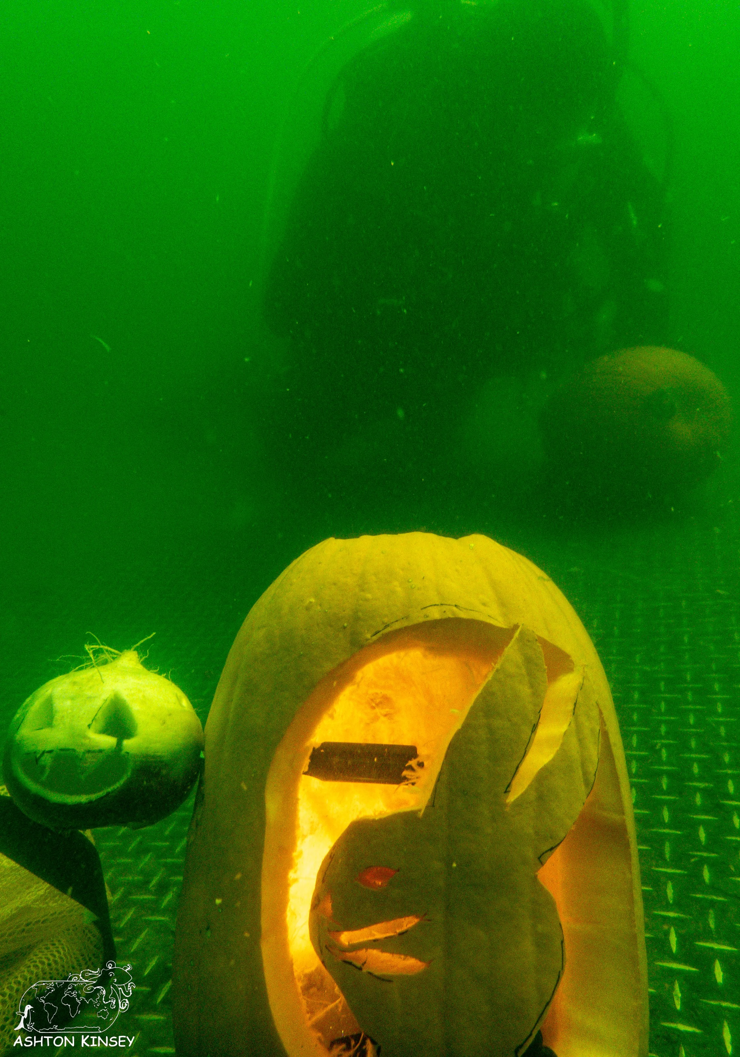 pumpkin-7.jpg