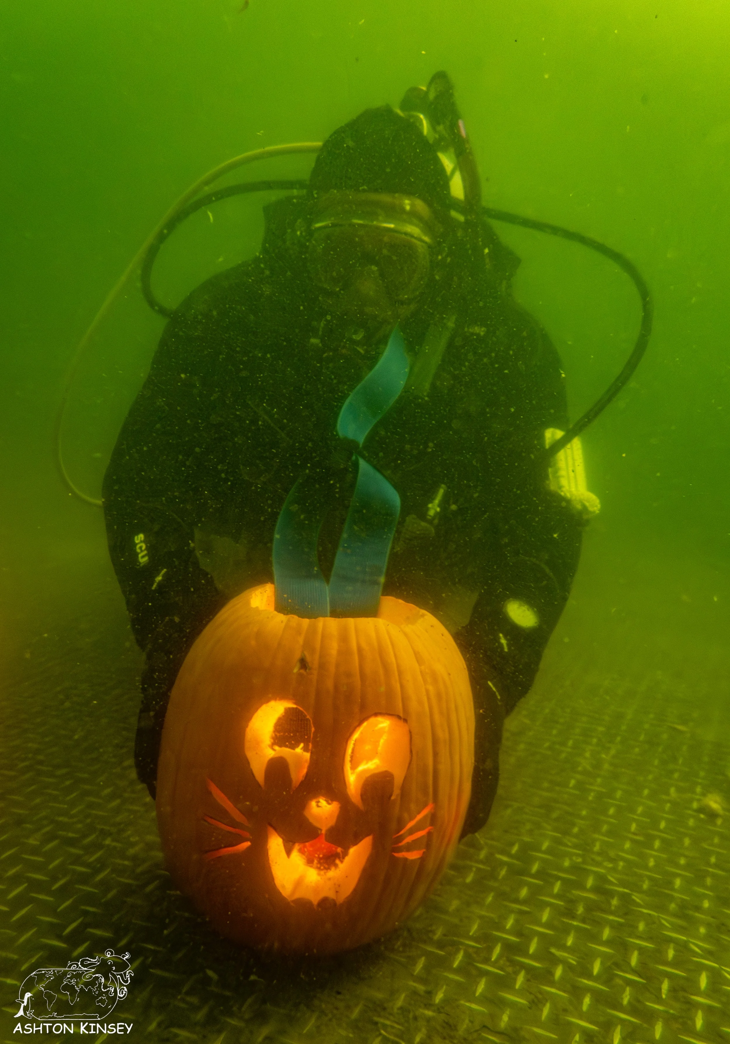 pumpkin-8.jpg