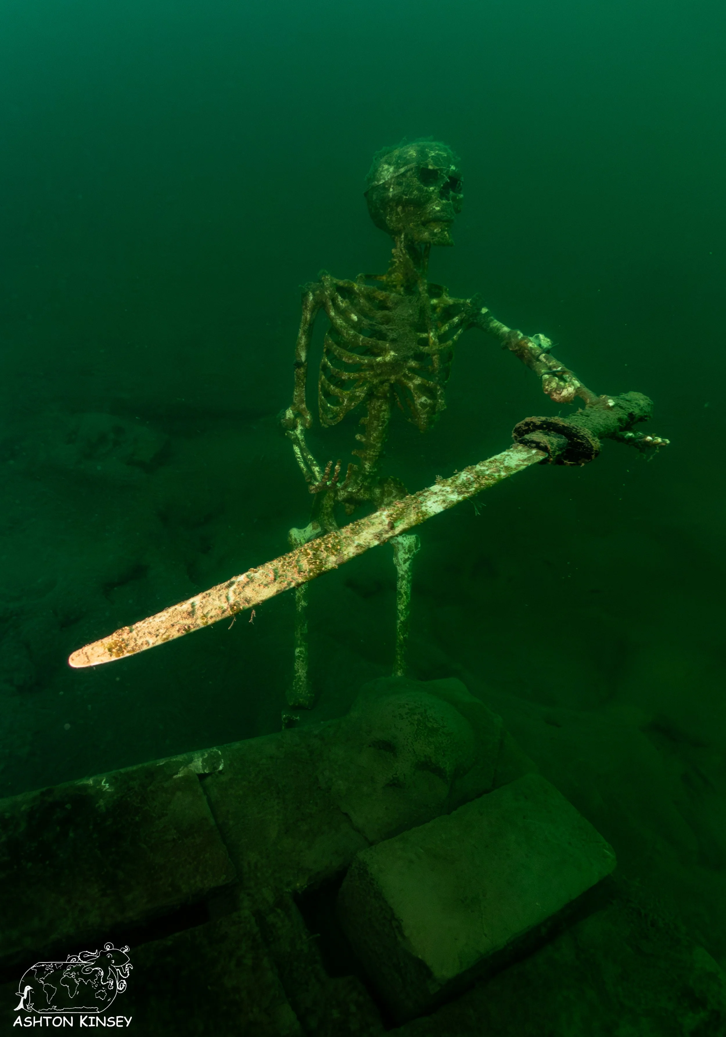 ScubaDive 65-4.jpg