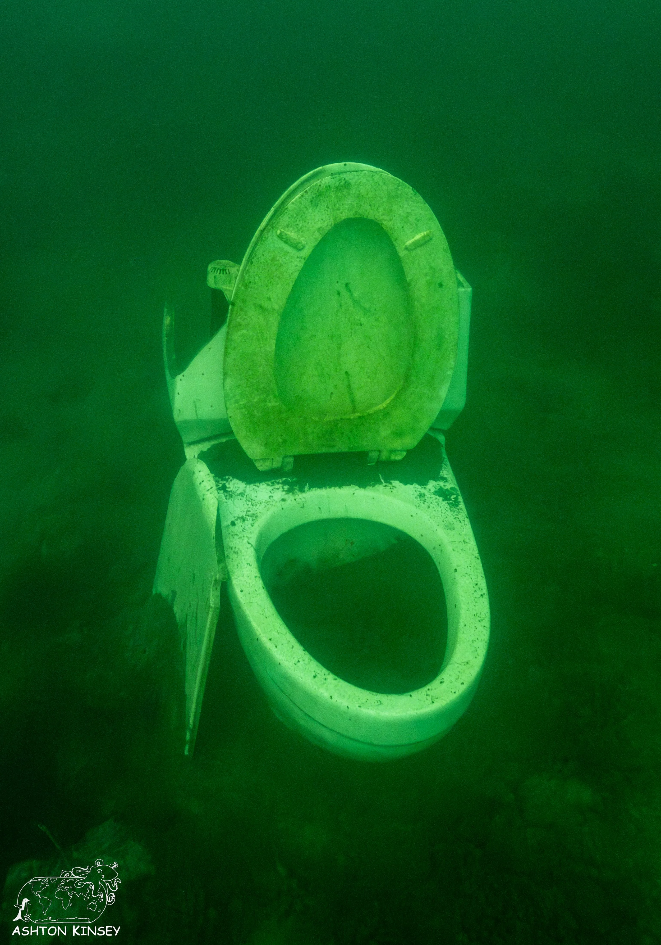 ScubaDive 65-6.jpg