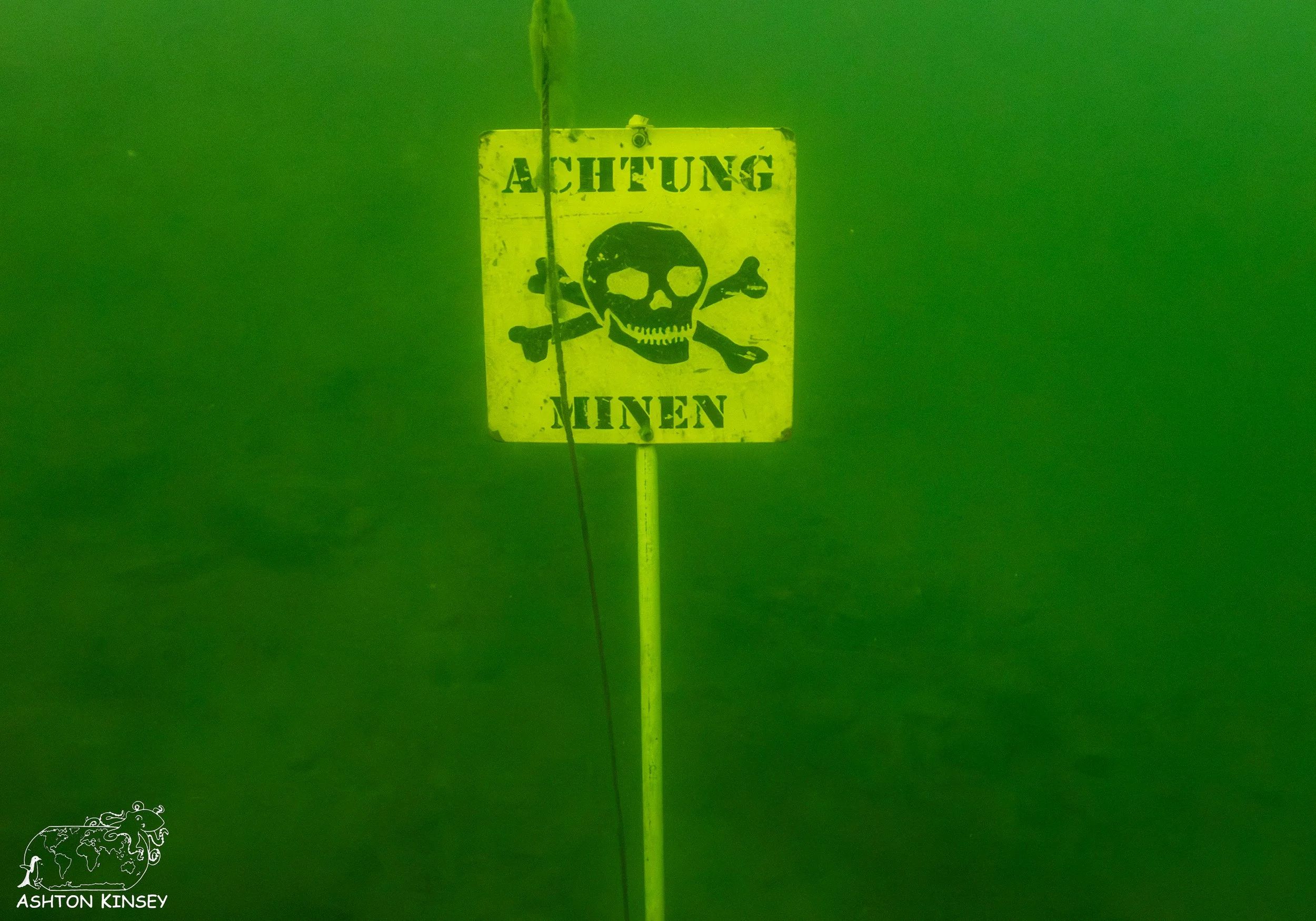 ScubaDive 65-7.jpg