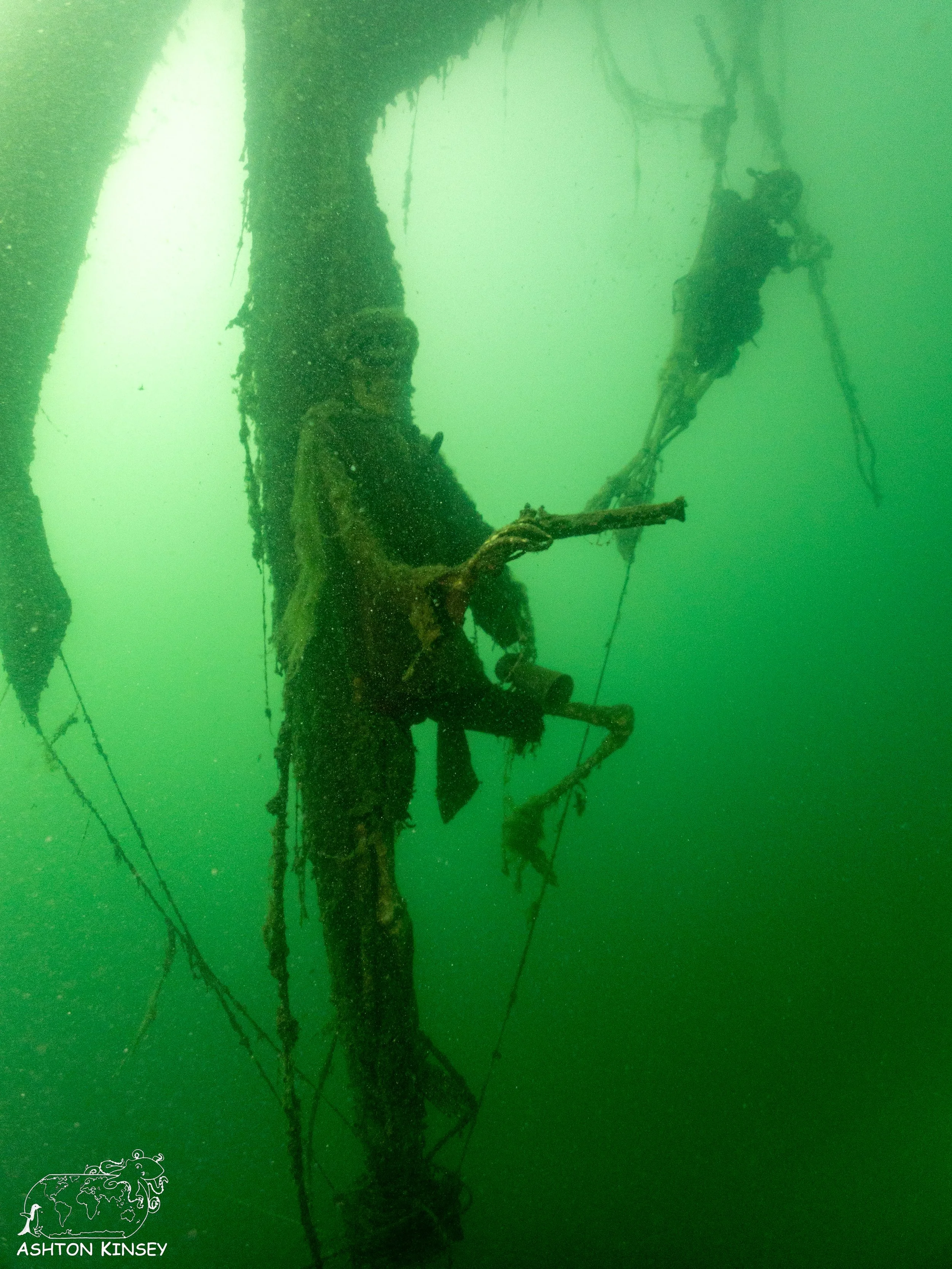 ScubaDive 65-8.jpg
