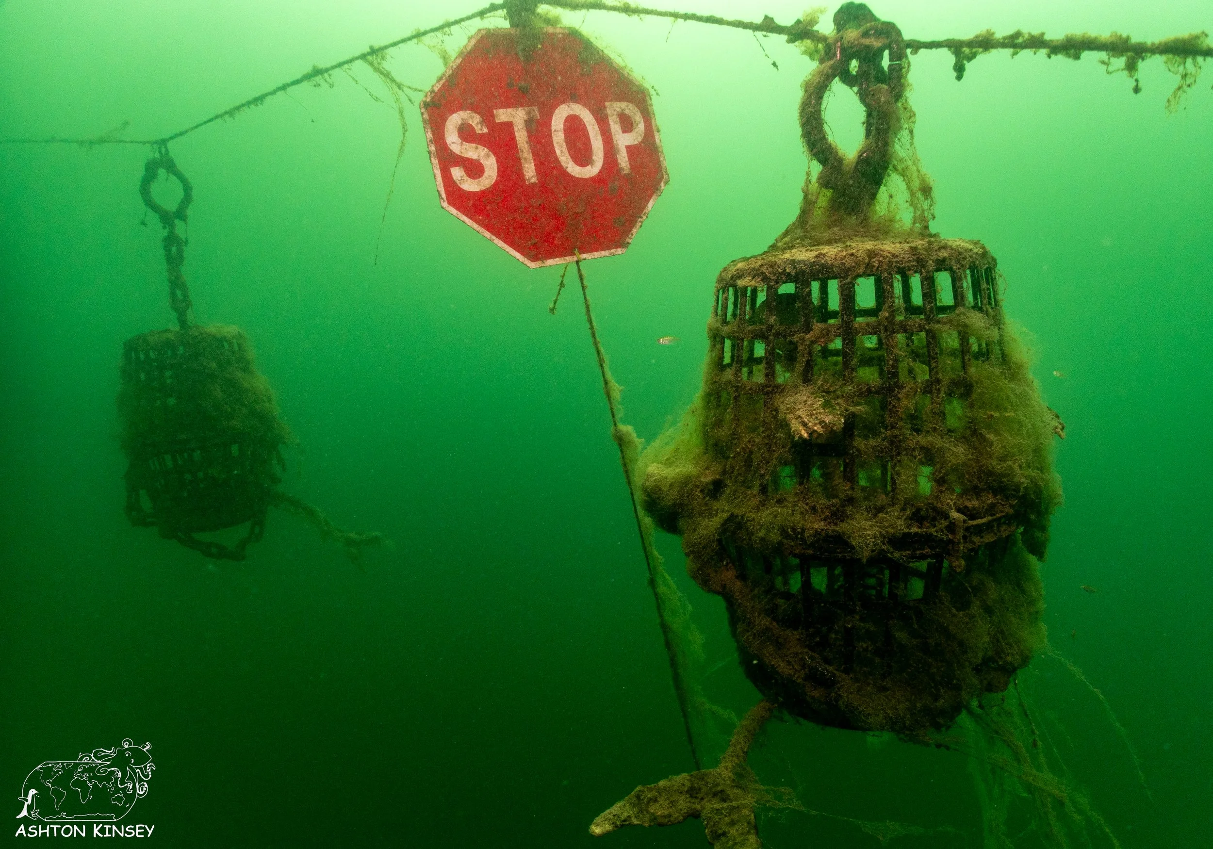 ScubaDive 65-10.jpg