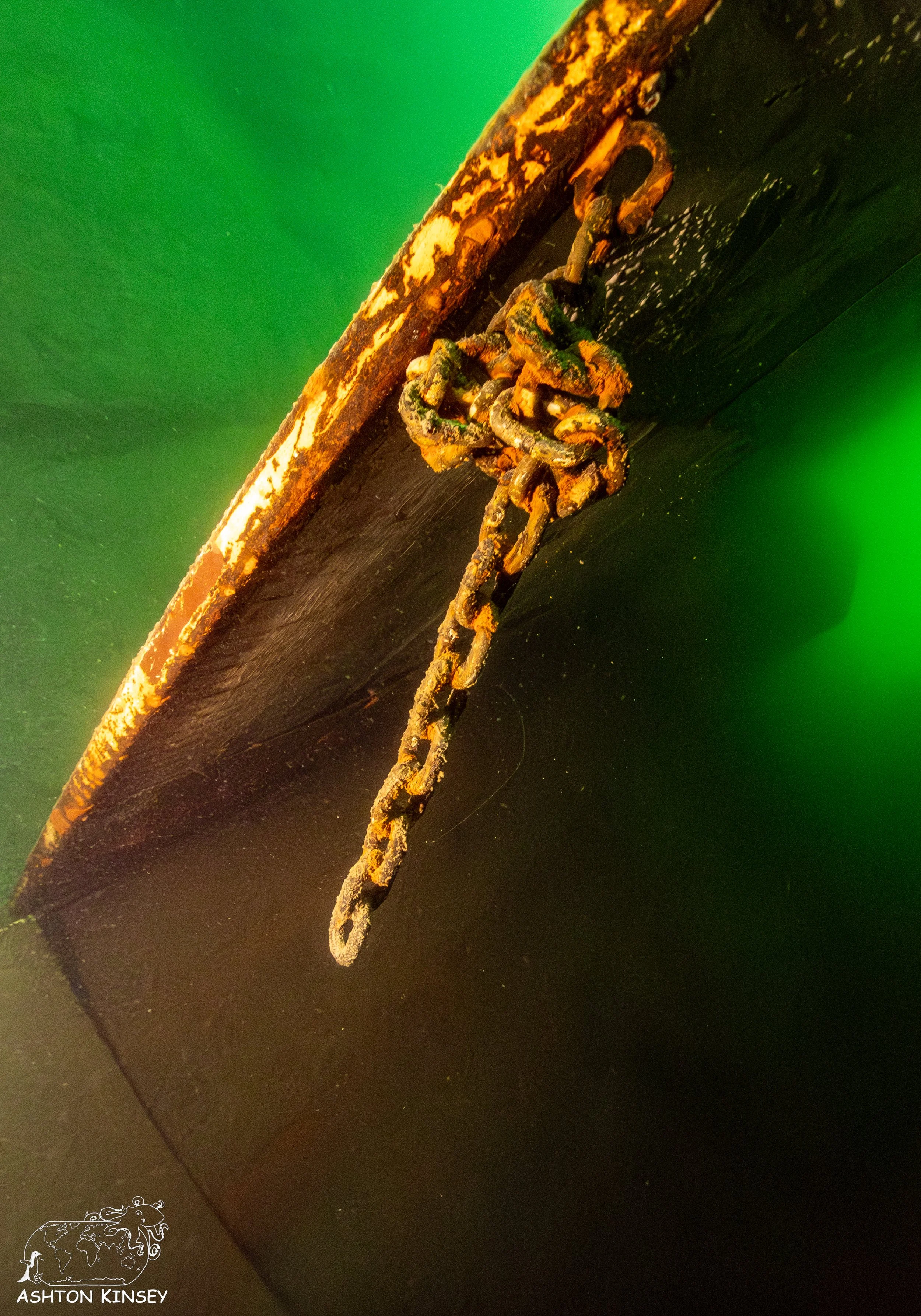 ScubaDive 65-17.jpg