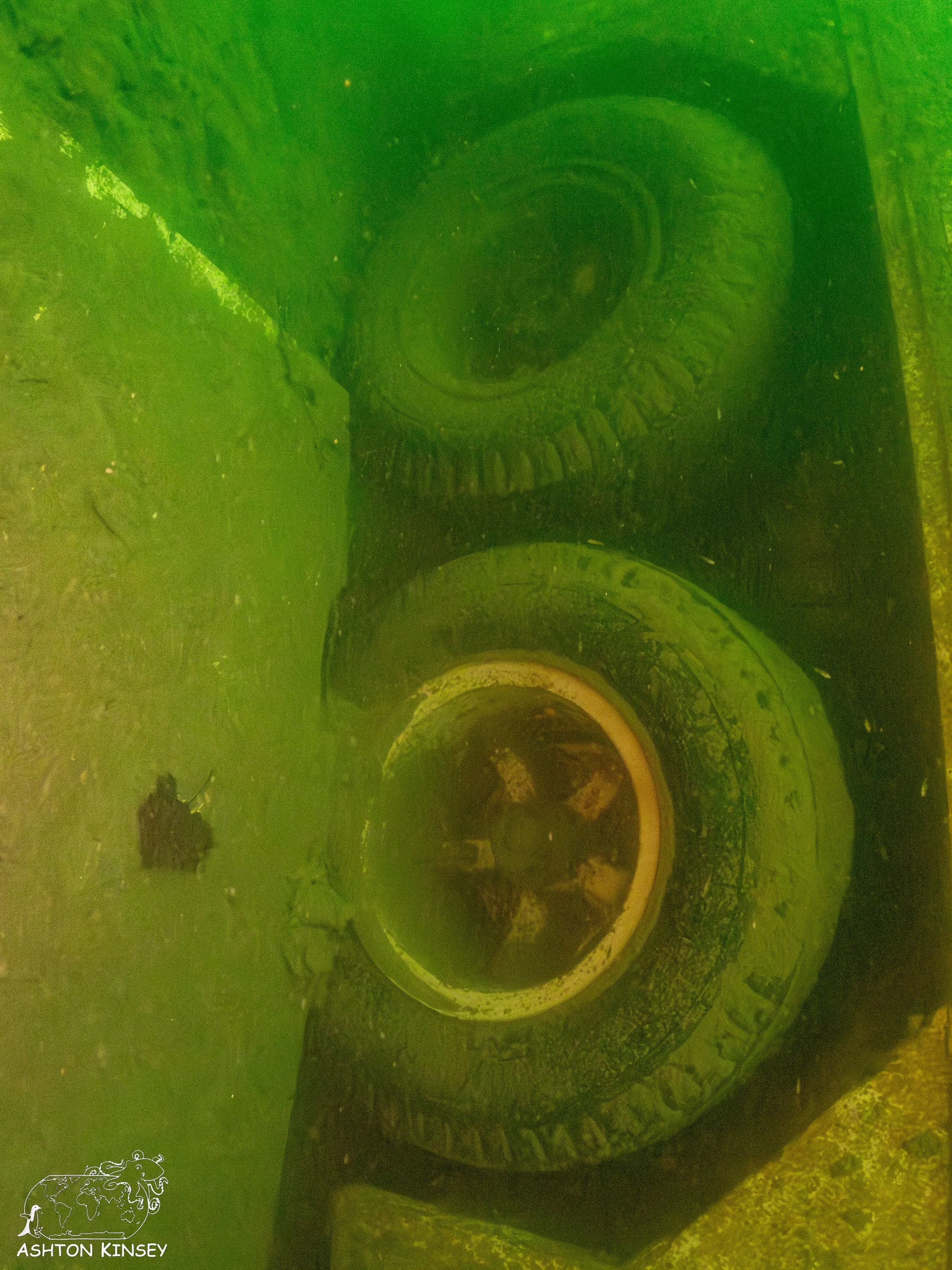 ScubaDive 65-18.jpg