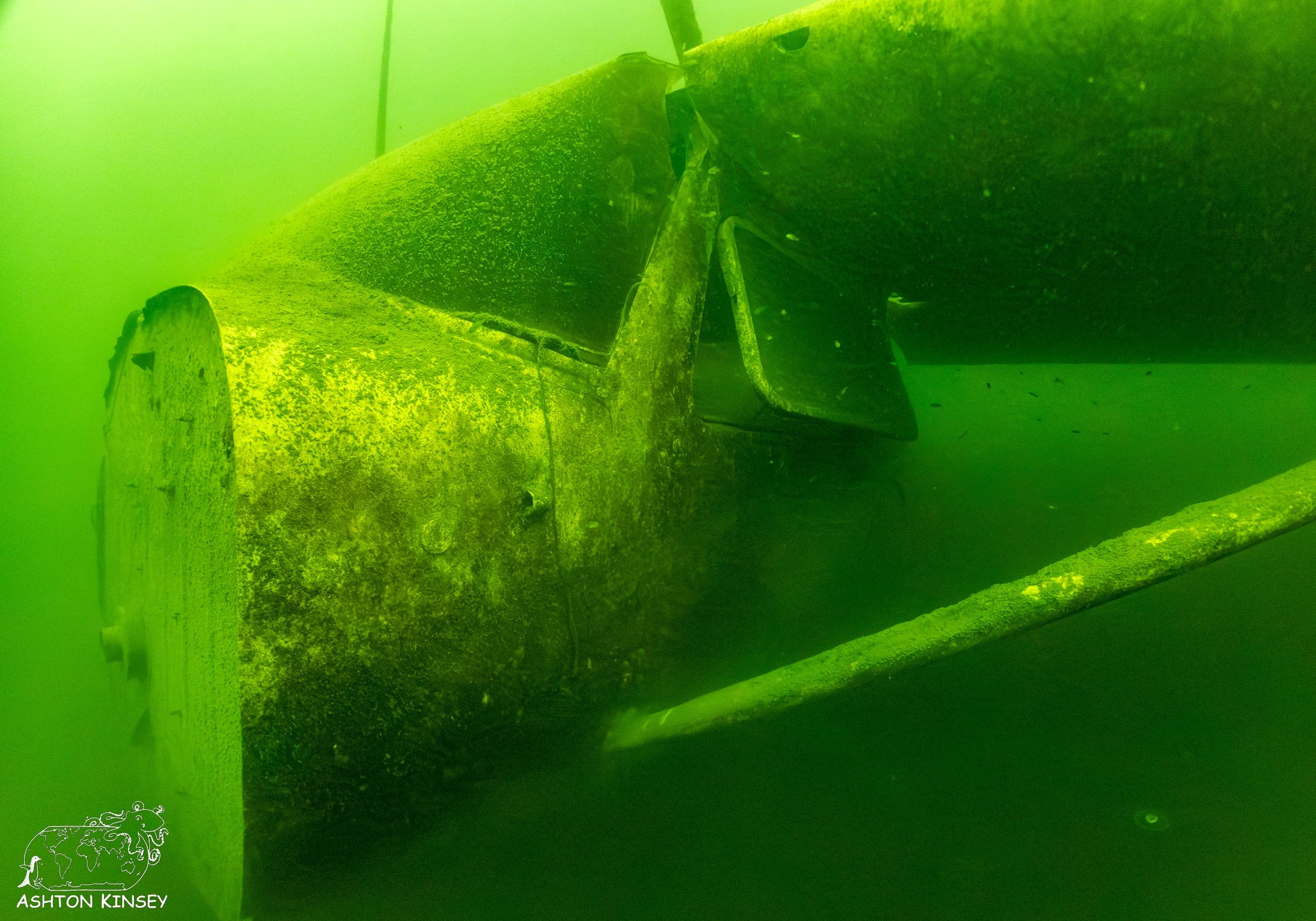 ScubaDive 65-19.jpg