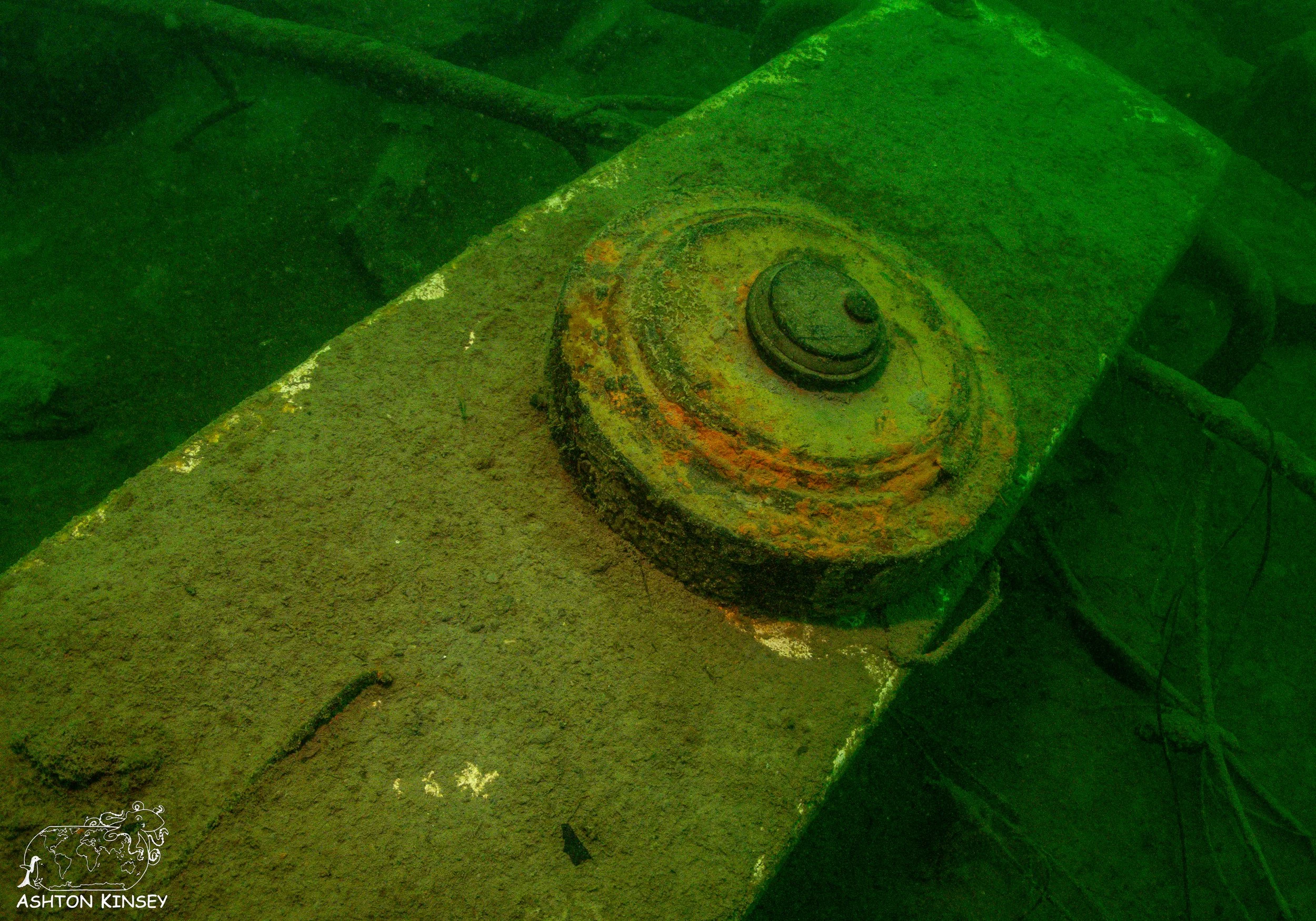 ScubaDive 65-24.jpg