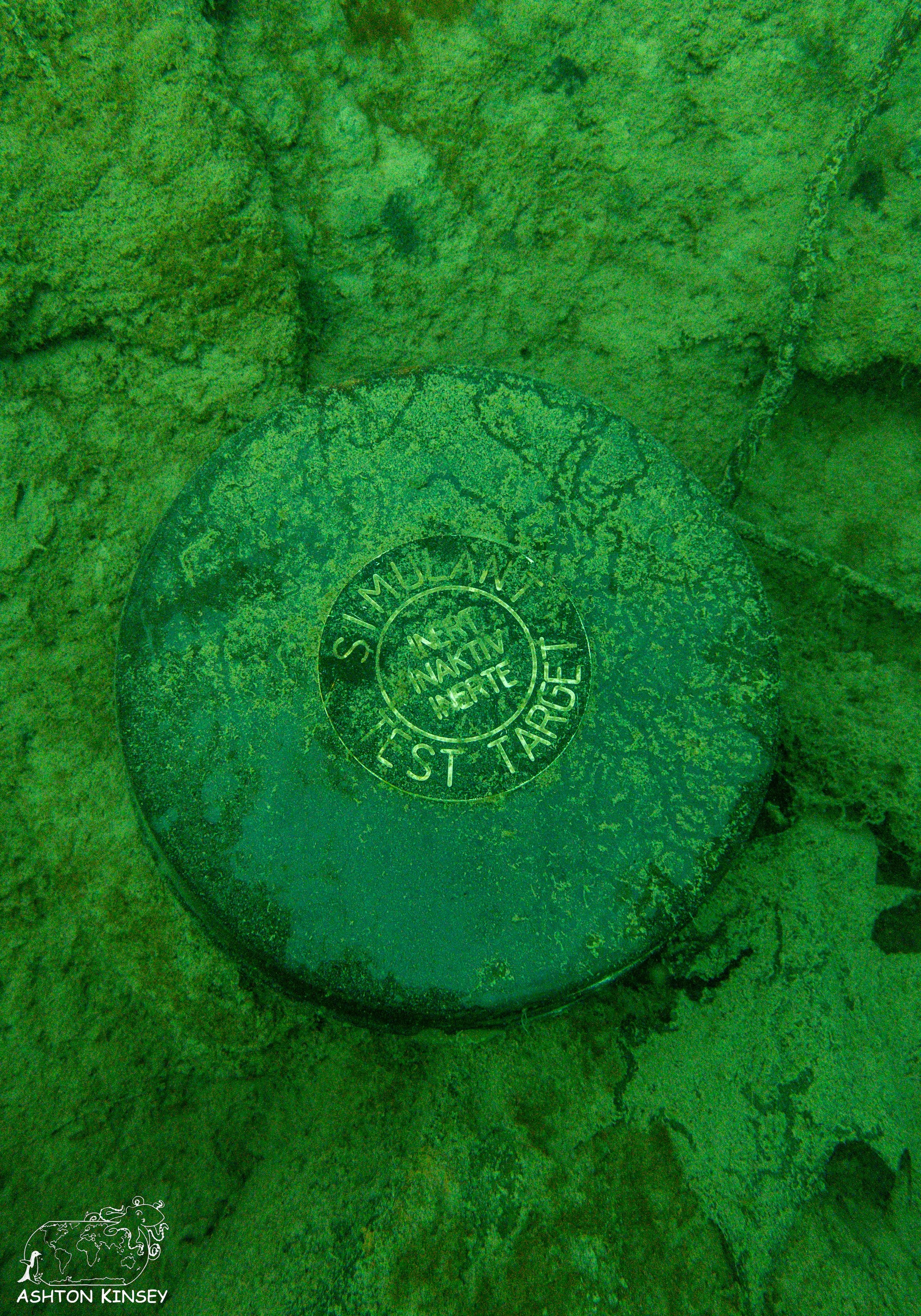 ScubaDive 65-25.jpg