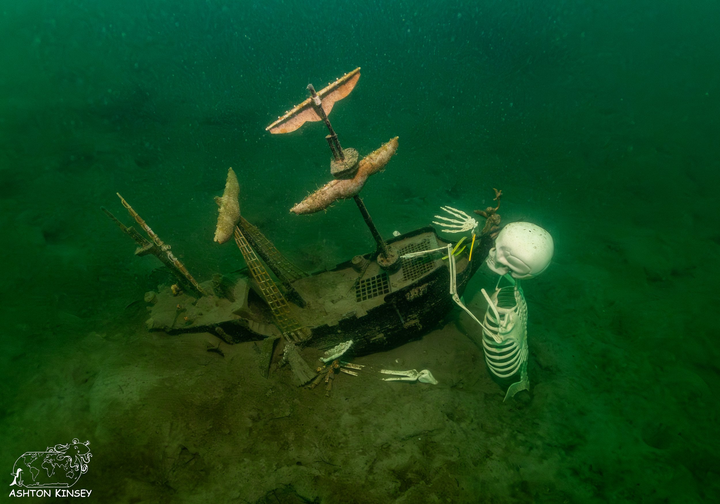 ScubaDive 65-27.jpg