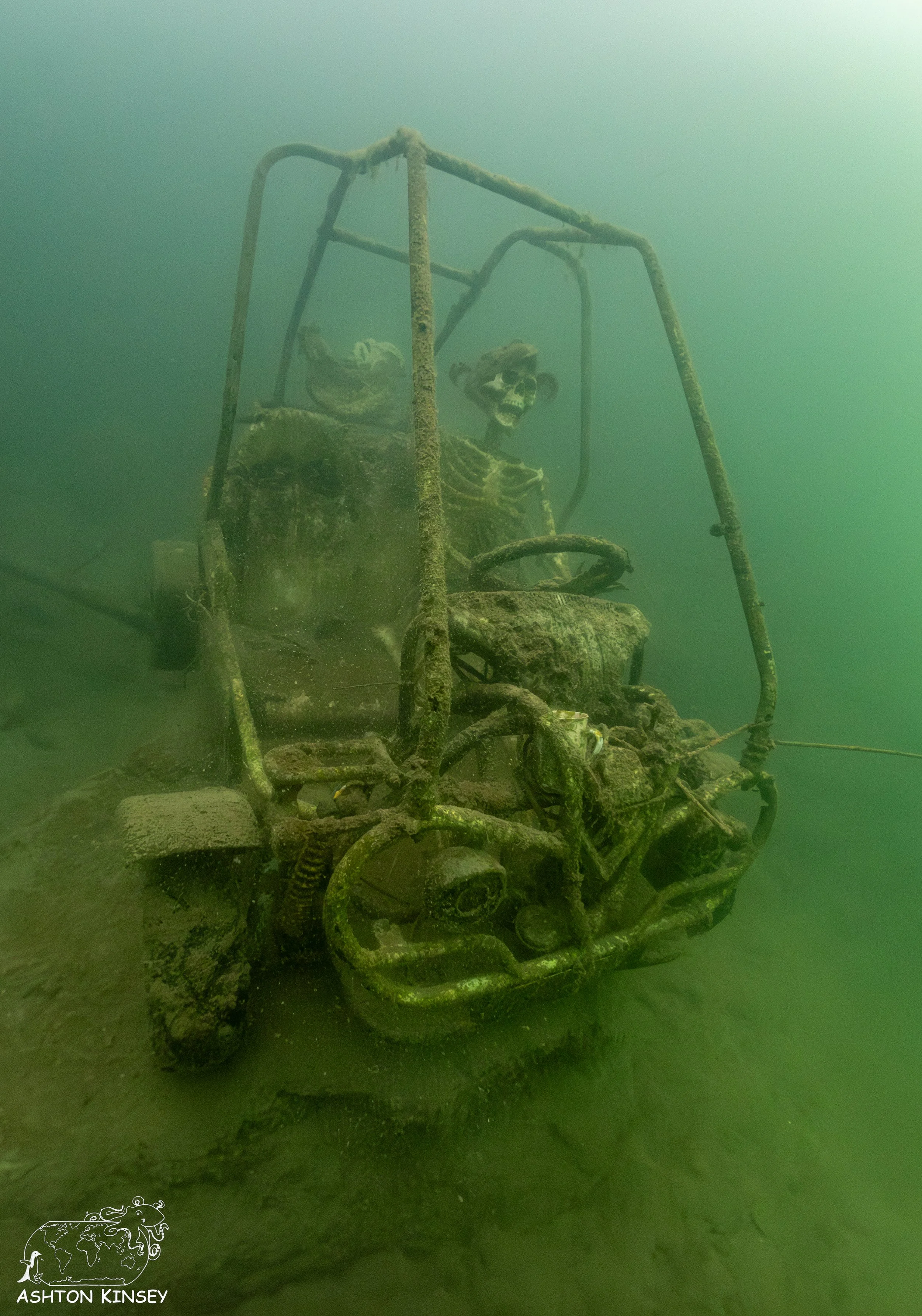 ScubaDive 65-28.jpg