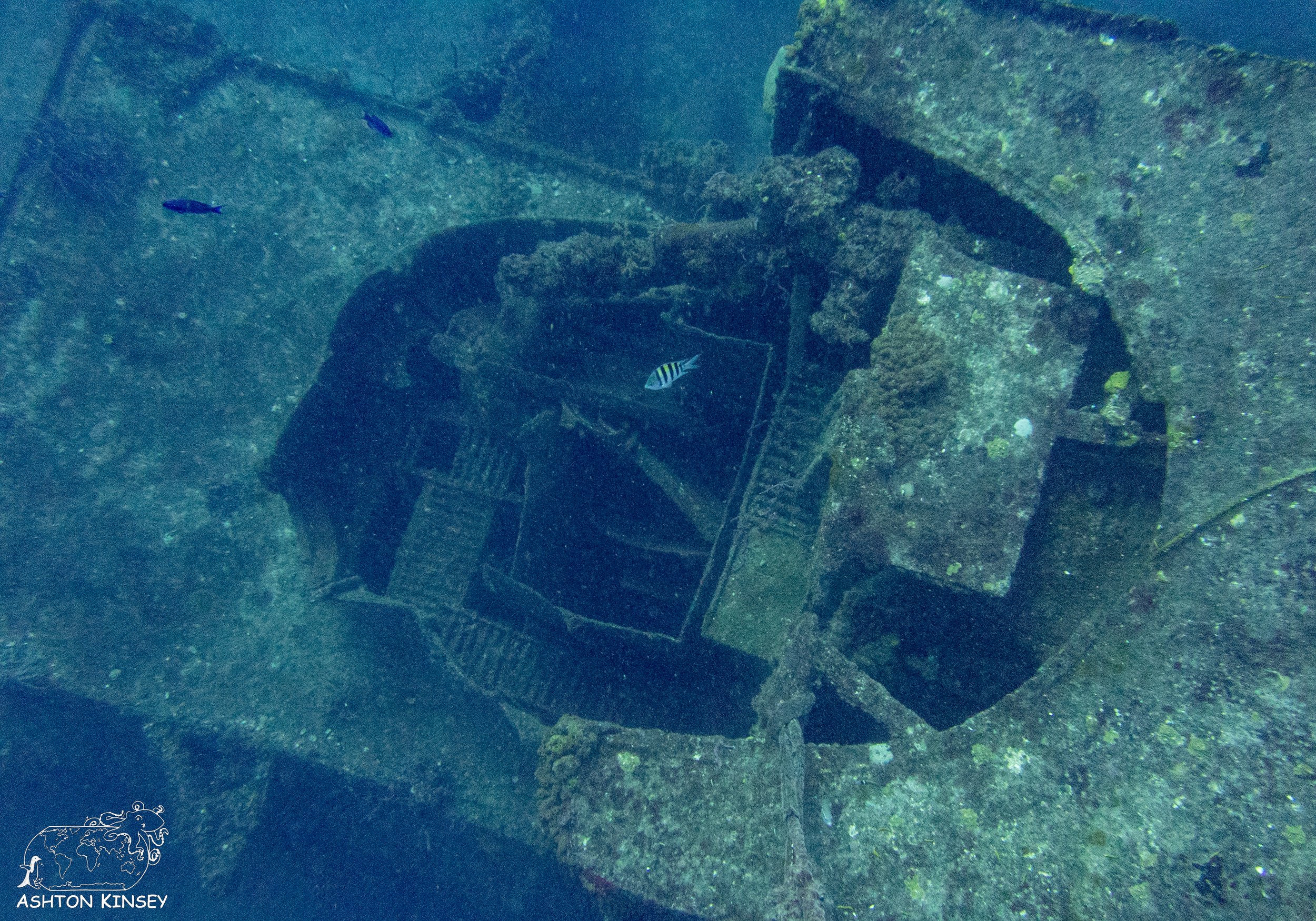The Duane-17.jpg