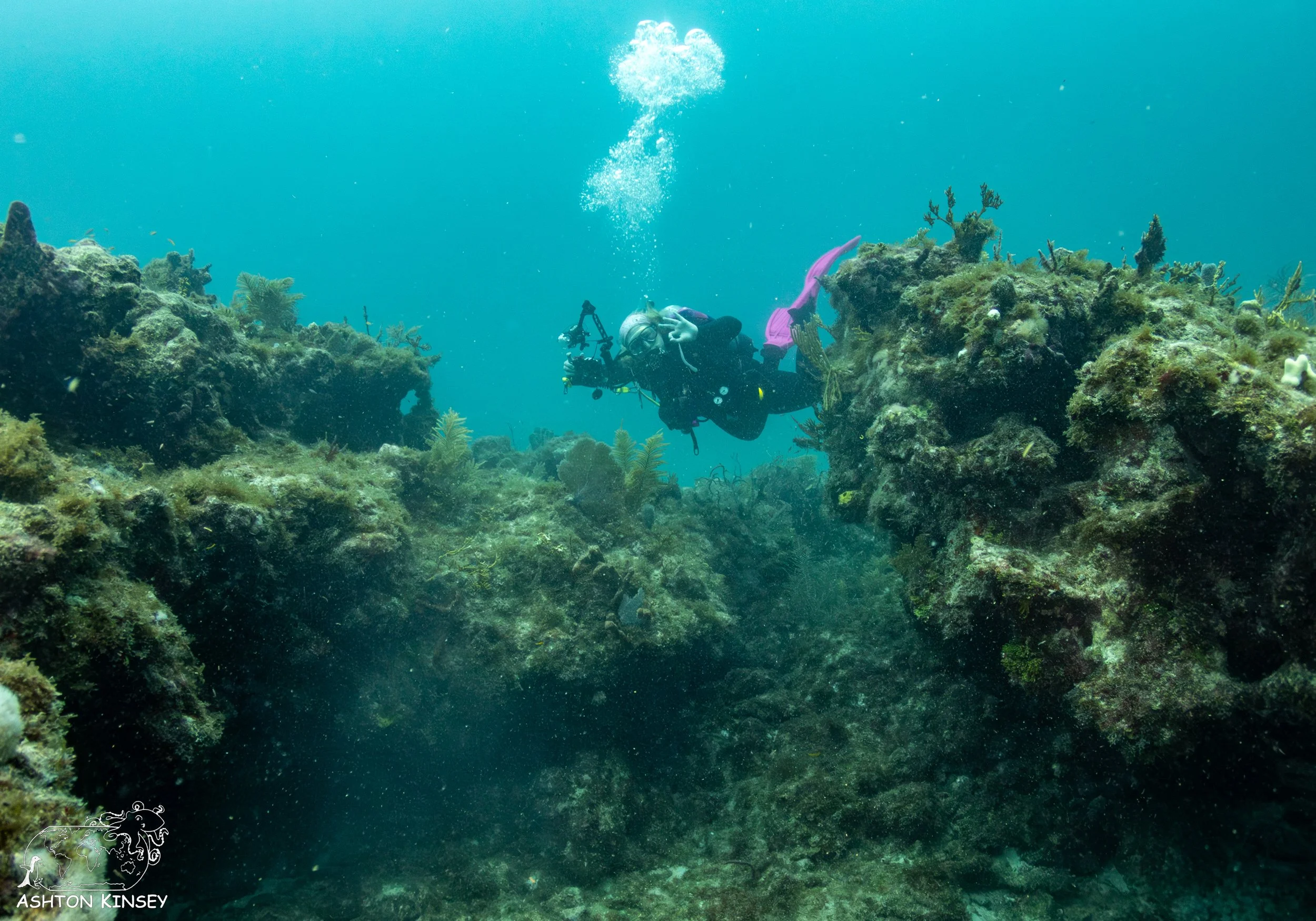 French Reef-2.jpg