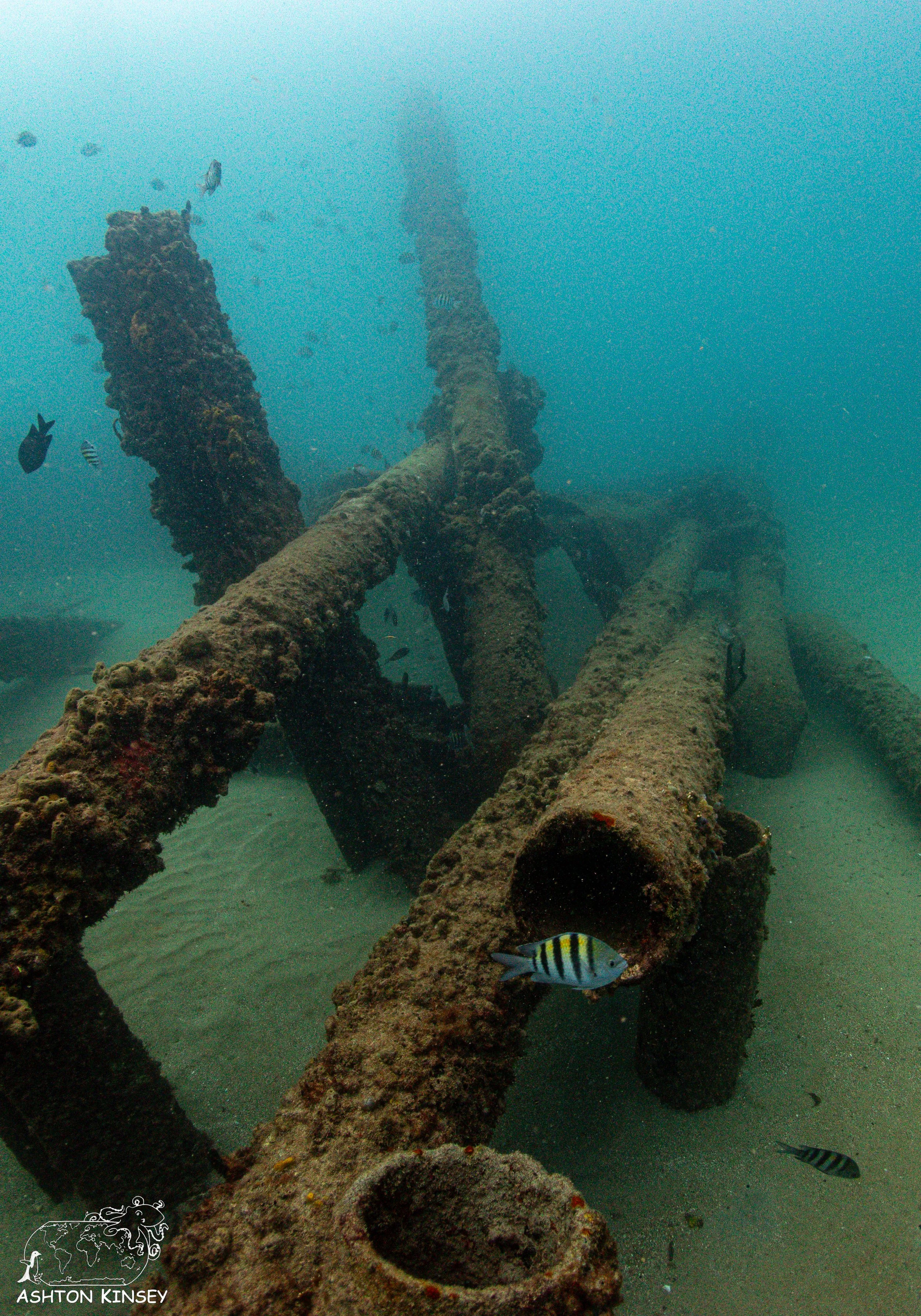 Crash Boat-15.jpg