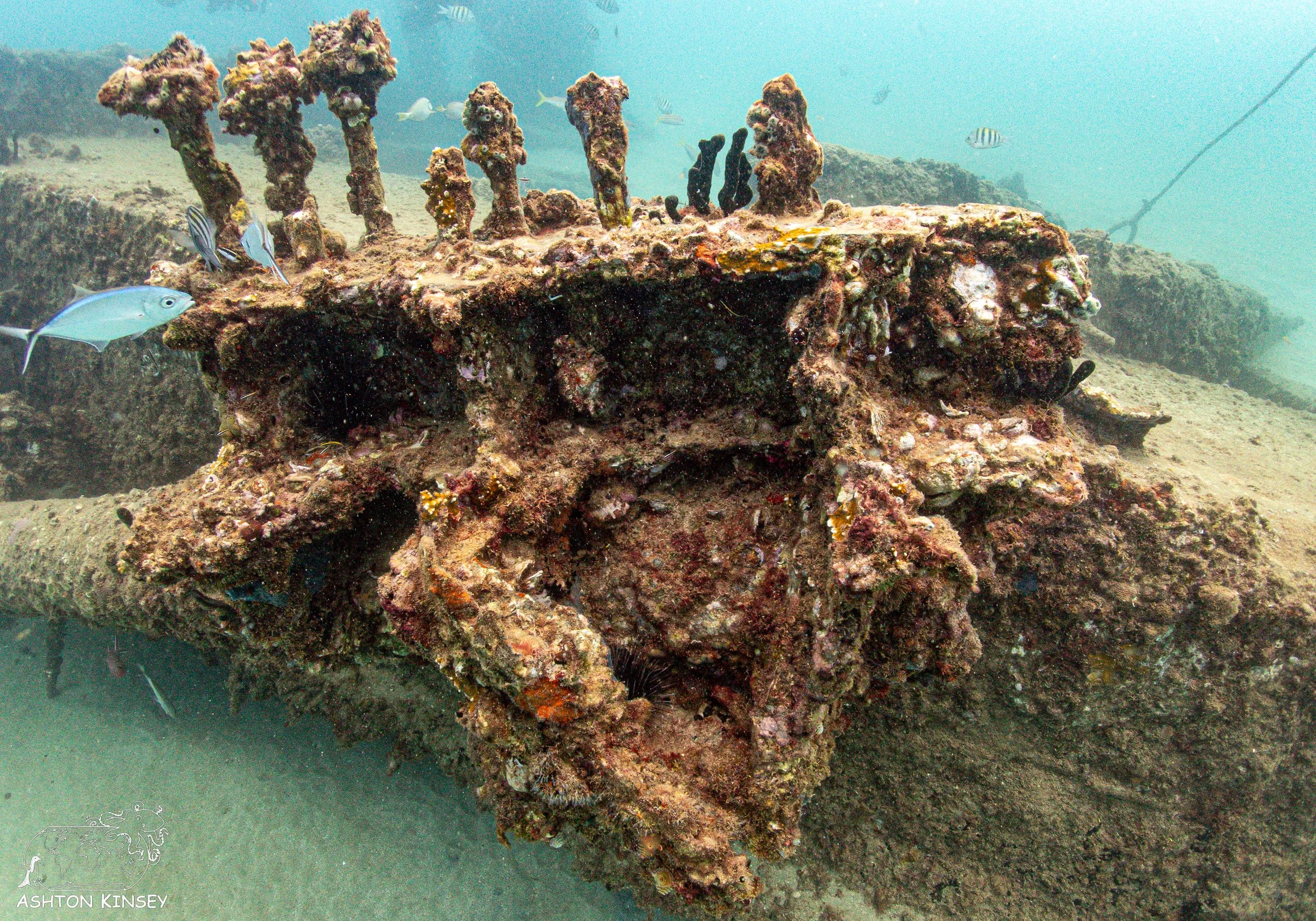 Crash Boat-19.jpg