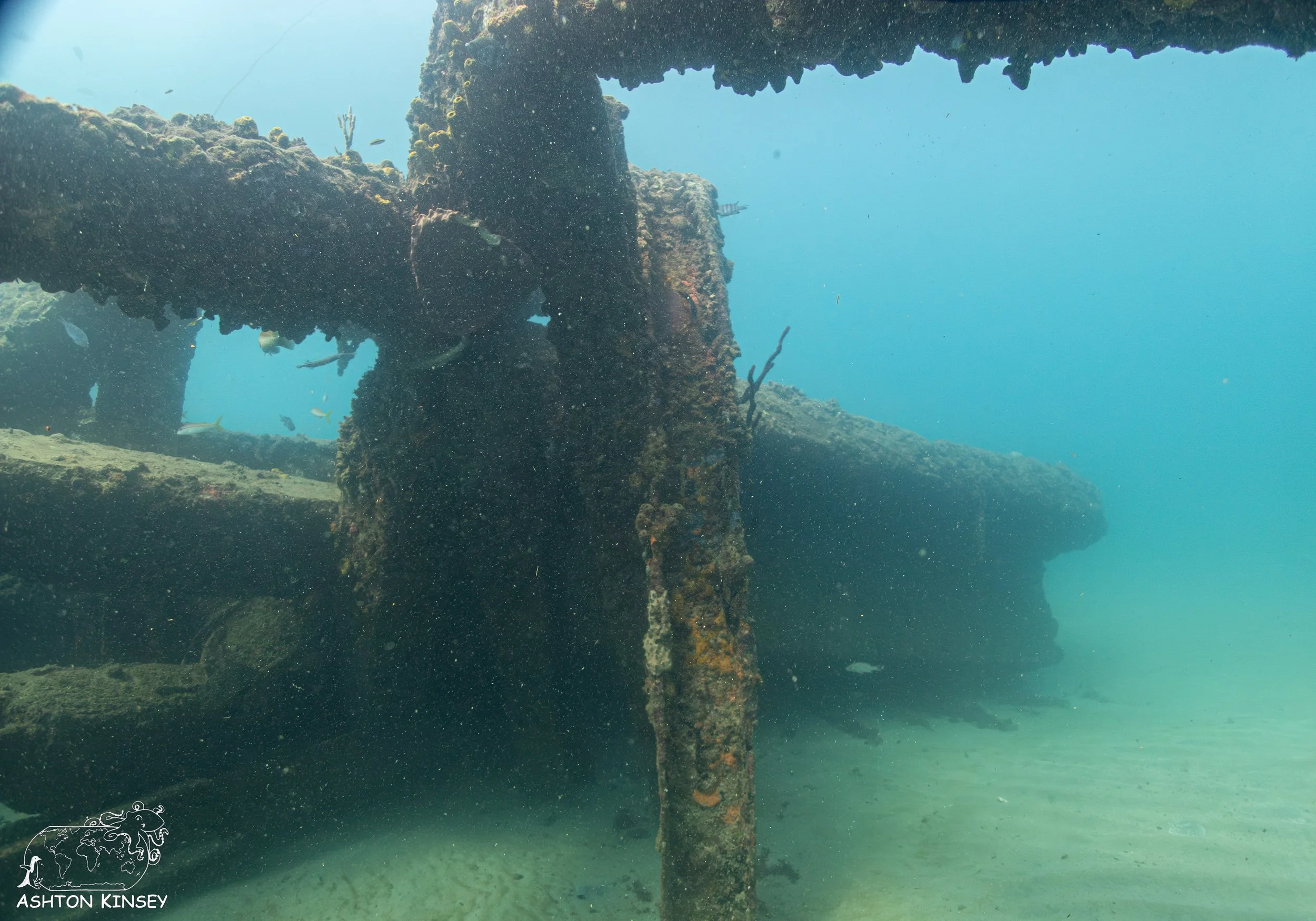 Crash Boat-5.jpg