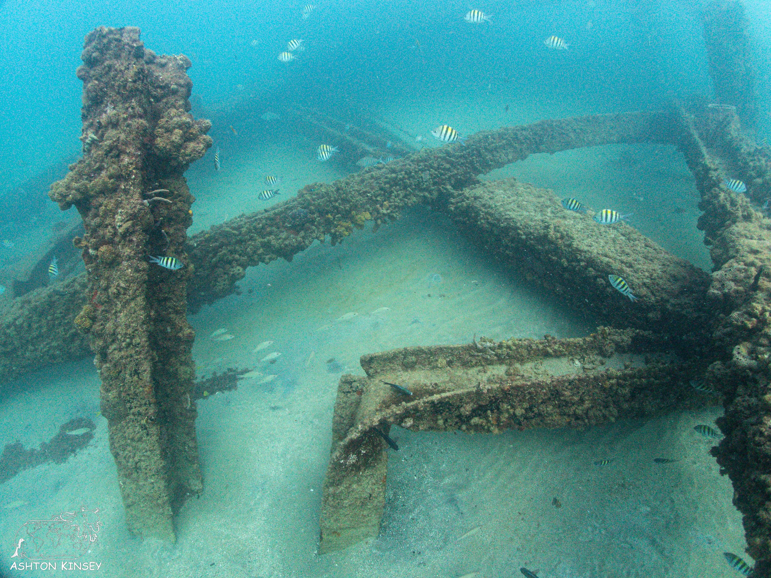 Crash Boat-8.jpg