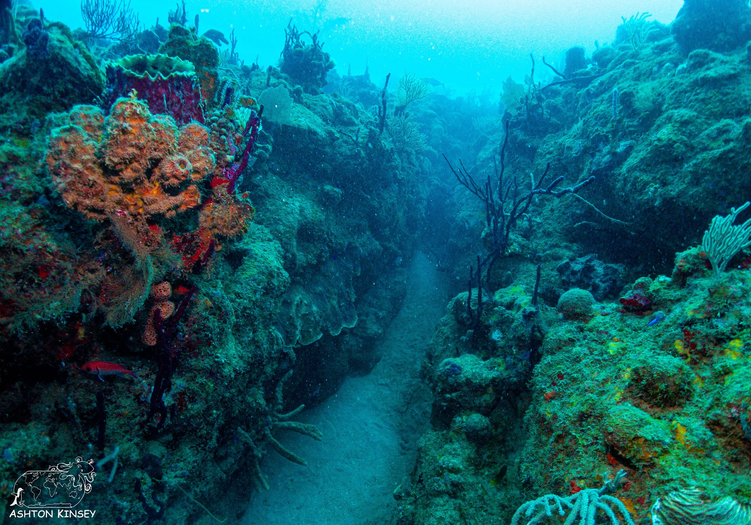 Rincon Wall-11.jpg