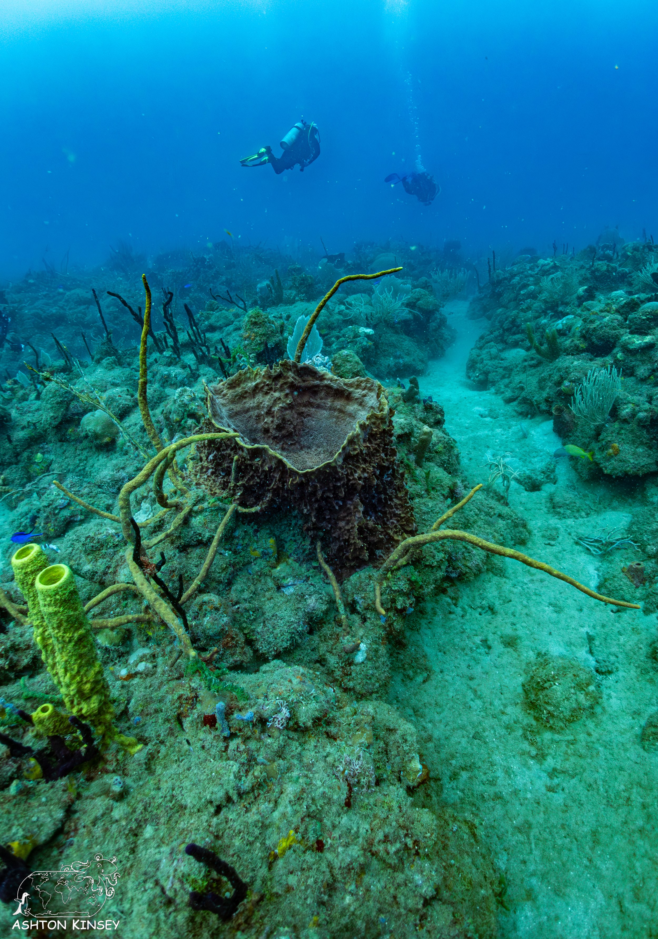 Rincon Wall-2.jpg