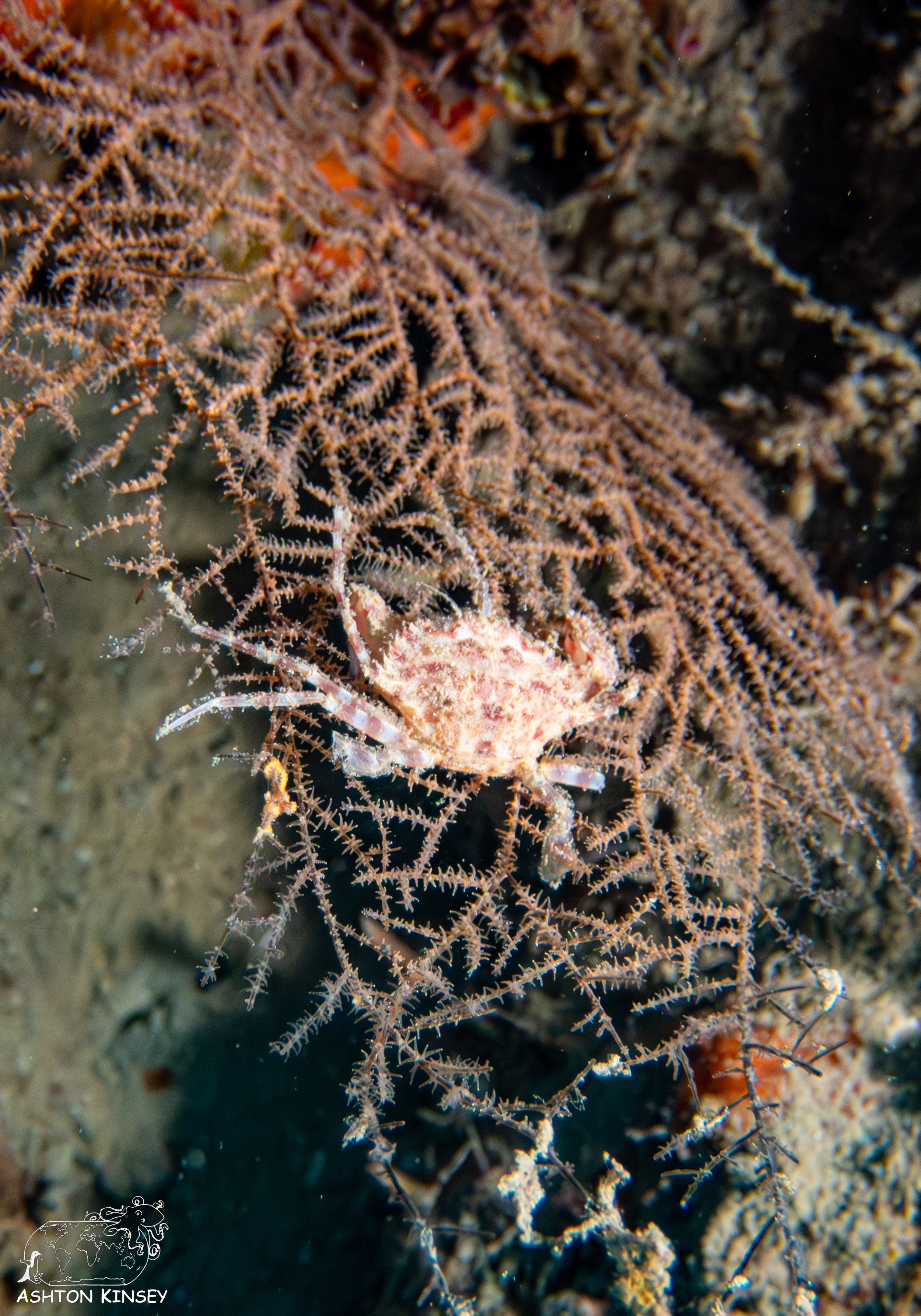 Rincon Wall-6.jpg