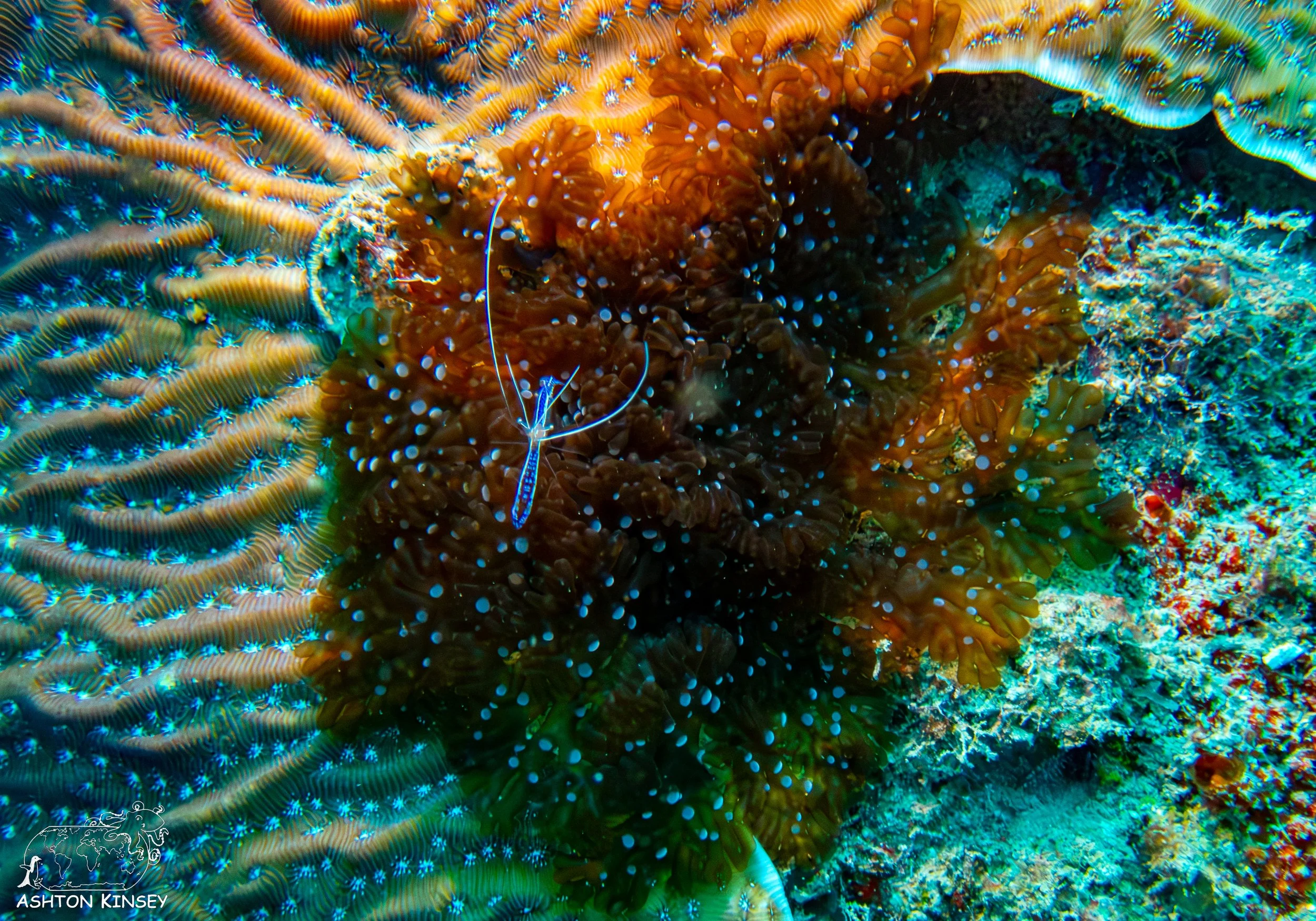 Rincon Wall-7.jpg