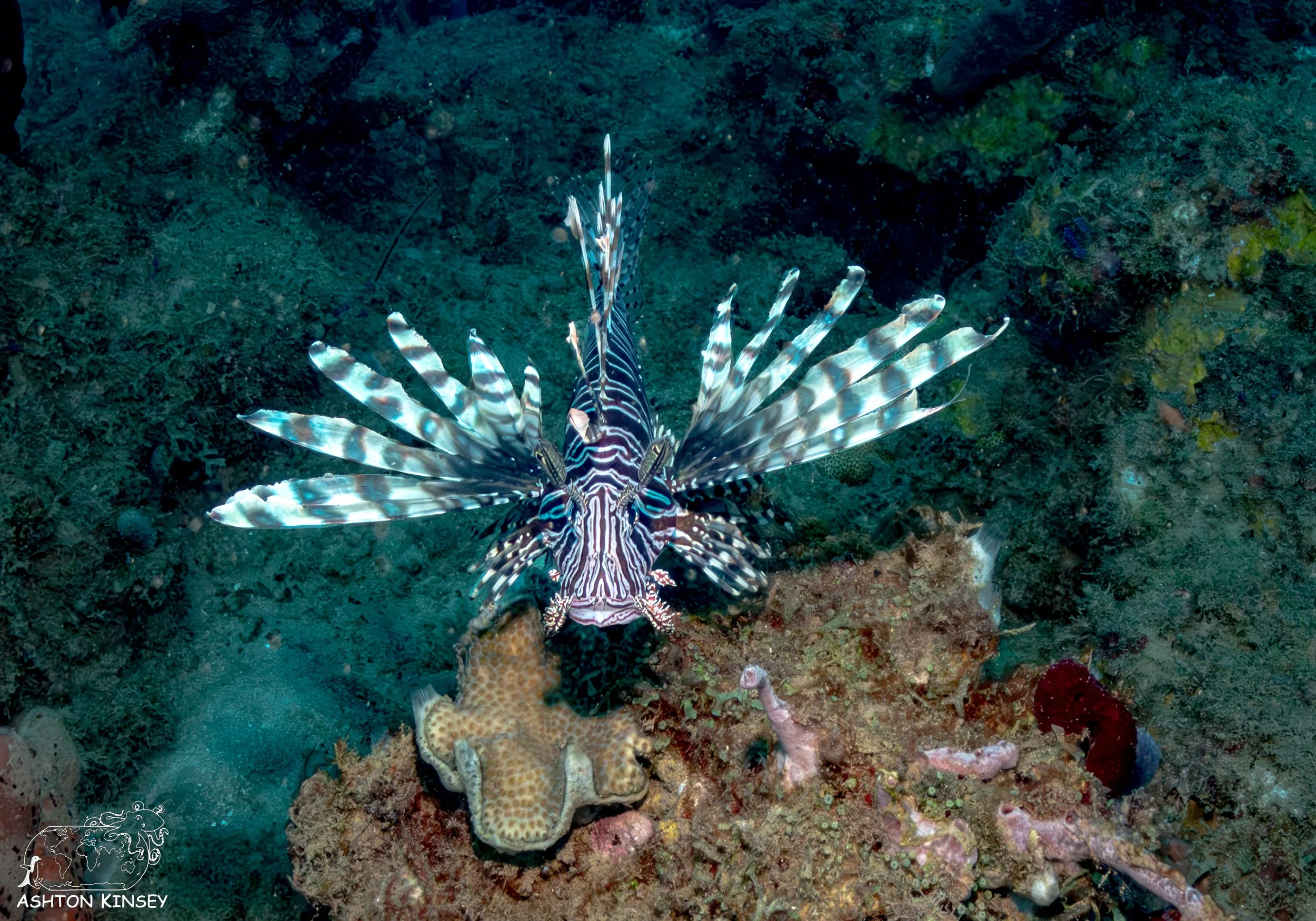 Rincon Wall-8.jpg