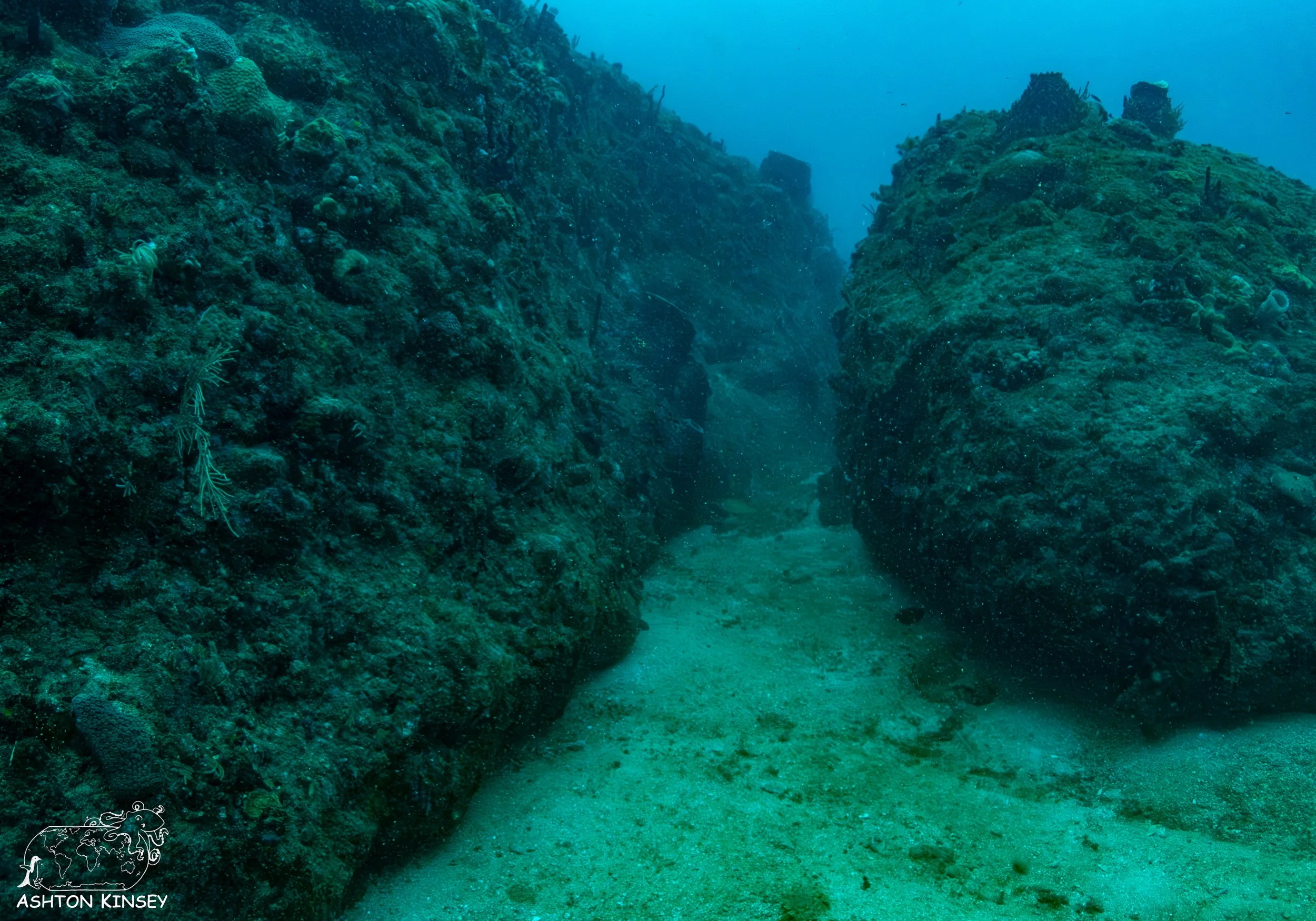 Outer Tres Palmas -8.jpg