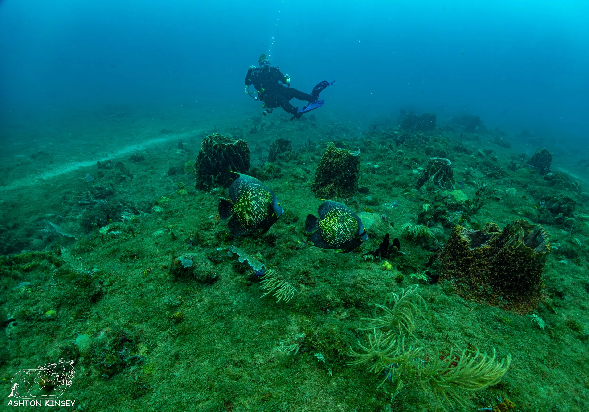 Outer Tres Palmas -1.jpg
